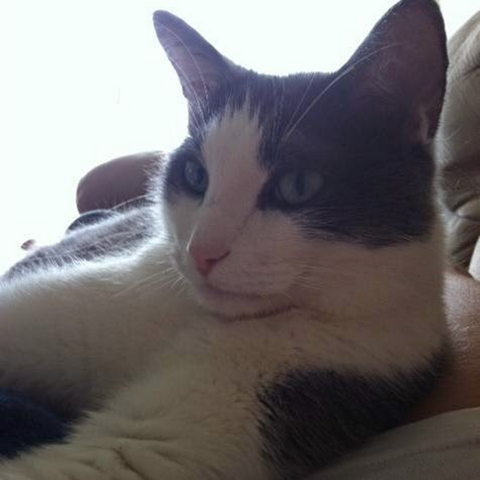 Cliff Lake Veterinary Clinic Eagan