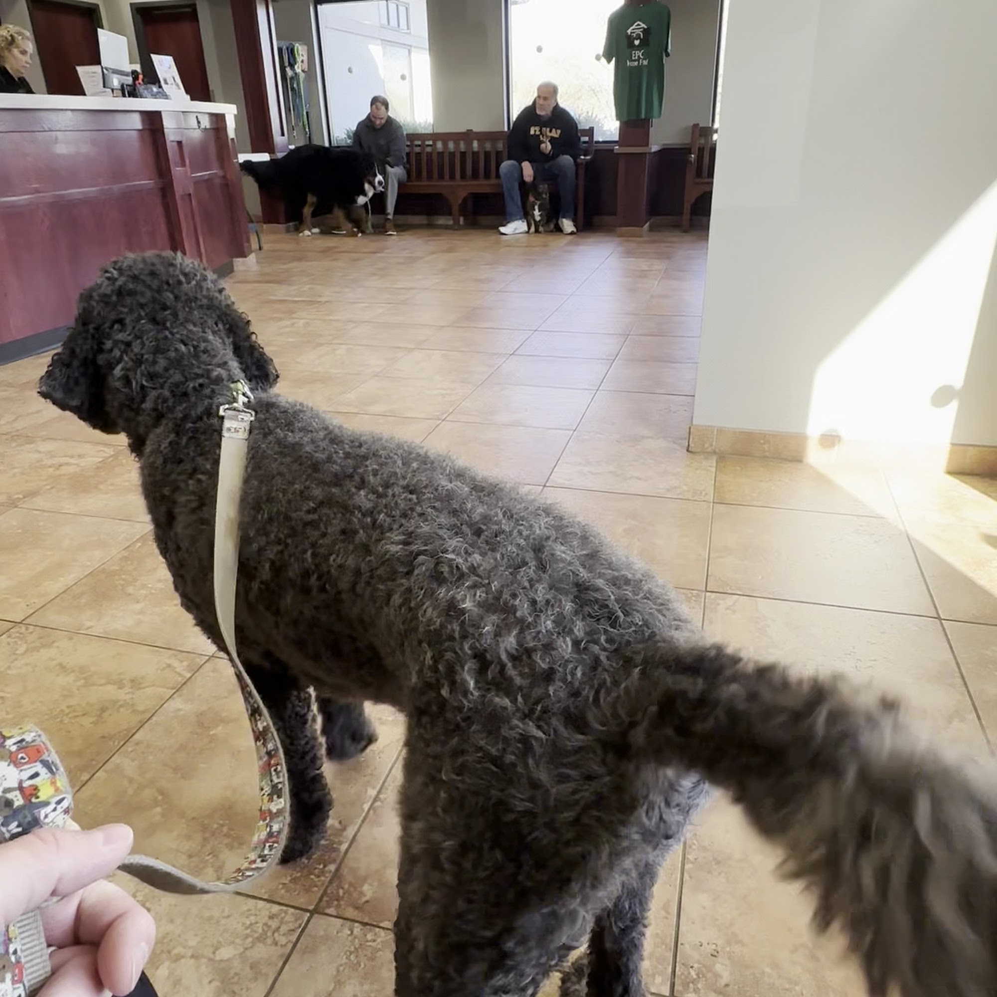 Eagan Pet Clinic Eagan