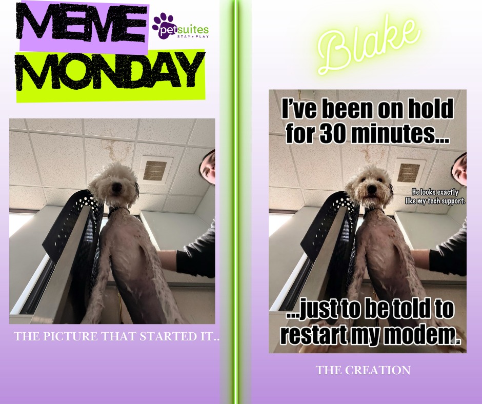 PetSuites Eagan Eagan