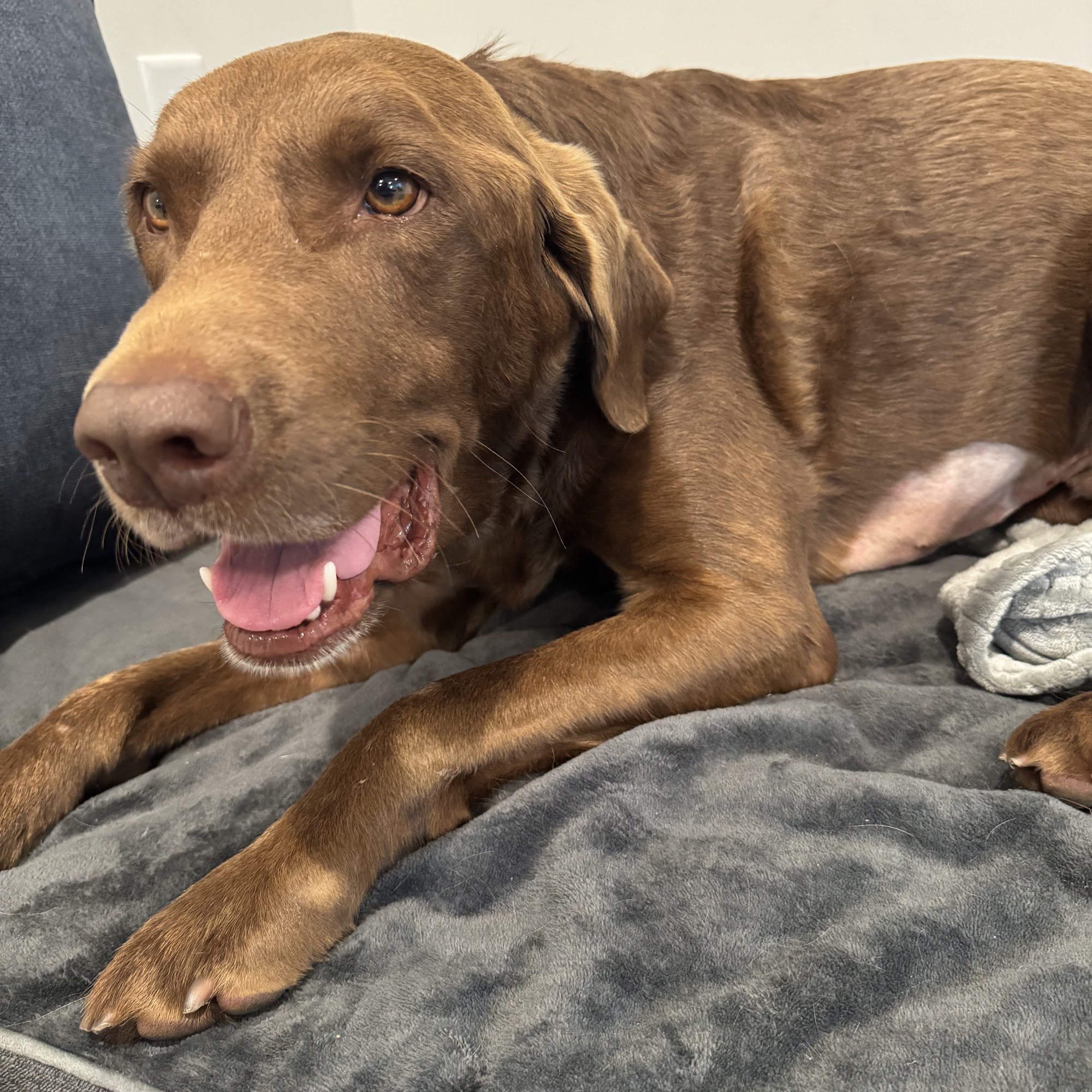 Mission Animal Hospital Eden Prairie