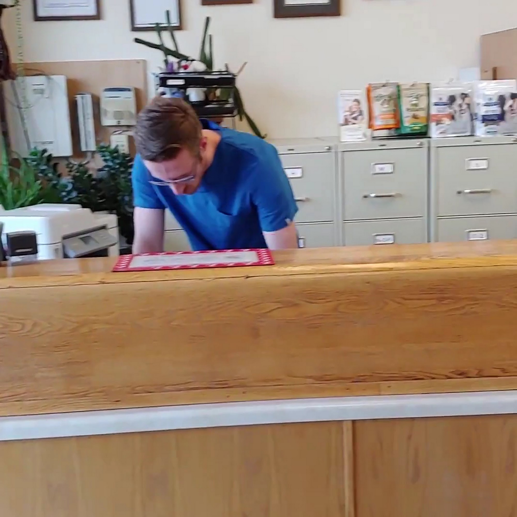 Bush Lake Pet Hospital Eden Prairie