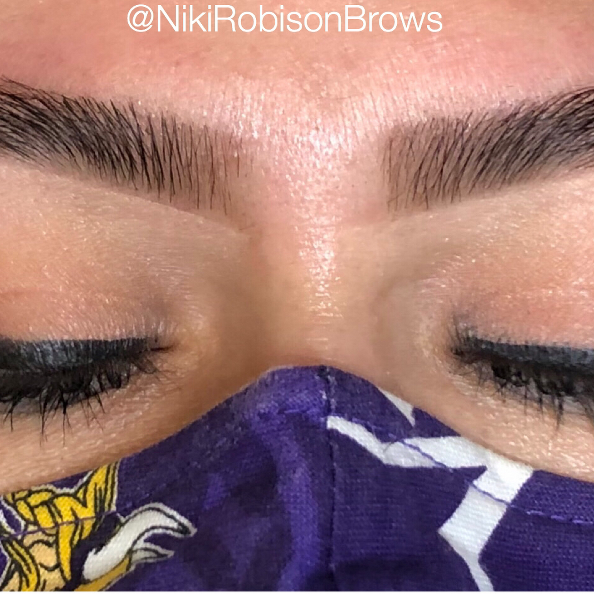 Niki Robison Brow & Skin Studio 8030 Glen Ln, Eden Prairie Minnesota 55344