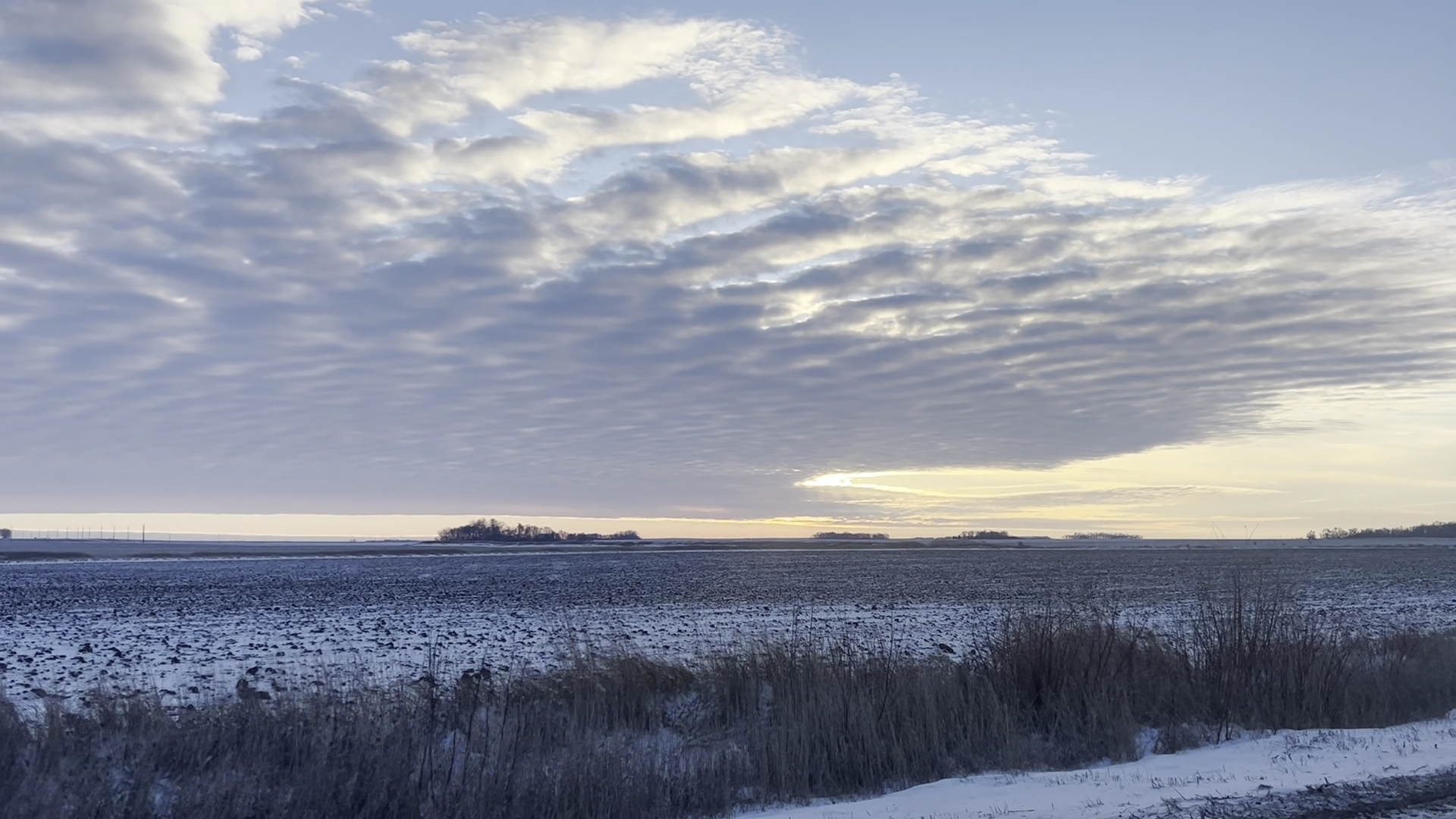Edgerton Bakery Menu