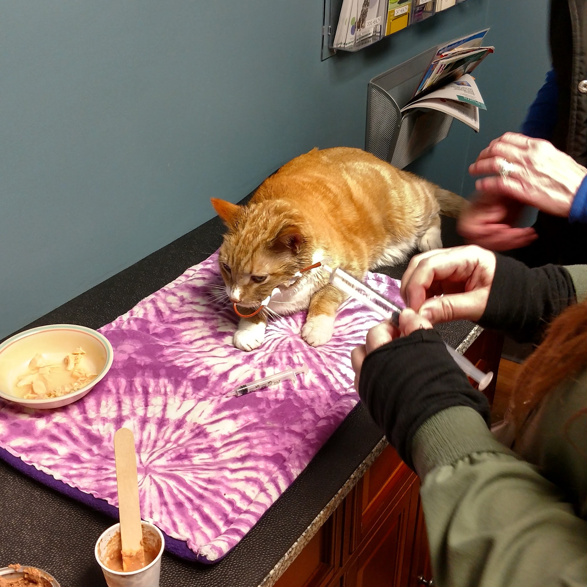 Barrington Oaks Veterinary Hospital Elk River