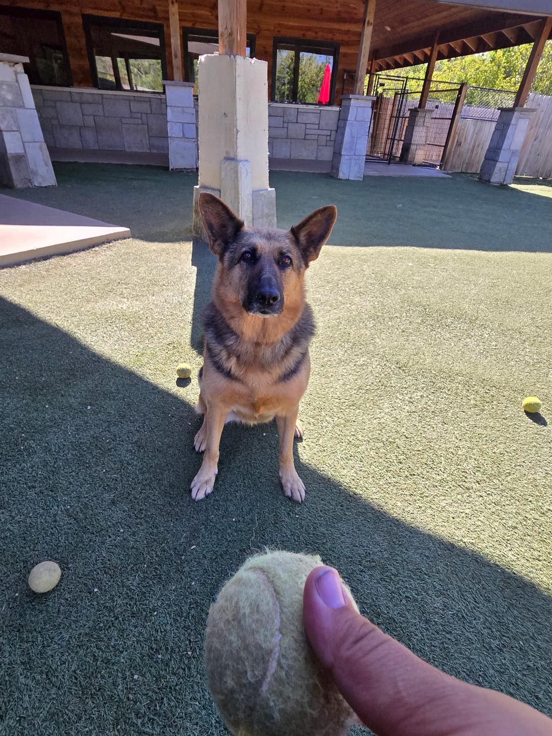 Muddy Paws Resort Faribault