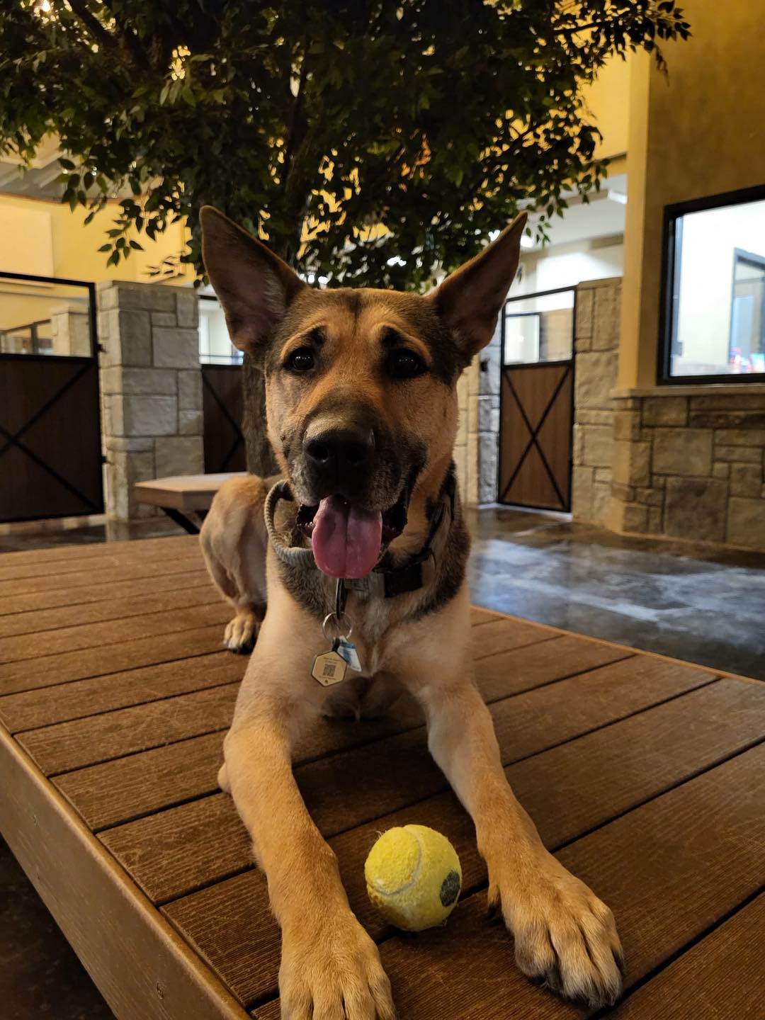 Muddy Paws Resort Faribault