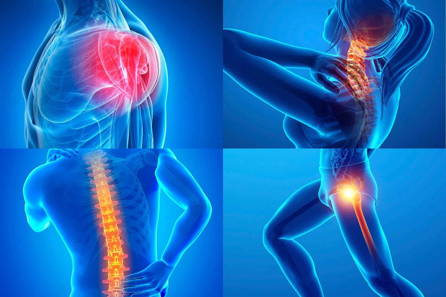 Robert J. Erickson, DC