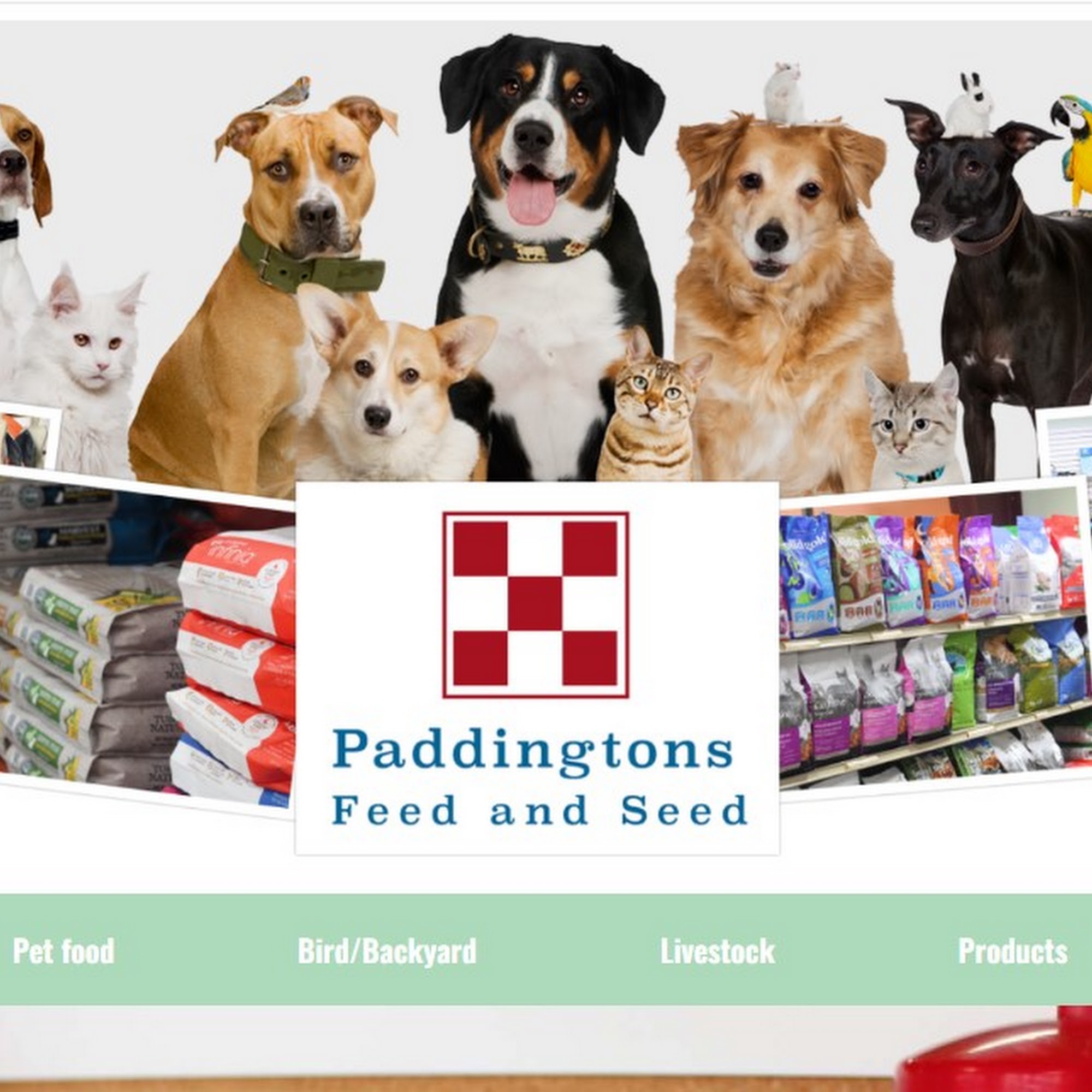 Priority Web Design and Social Media