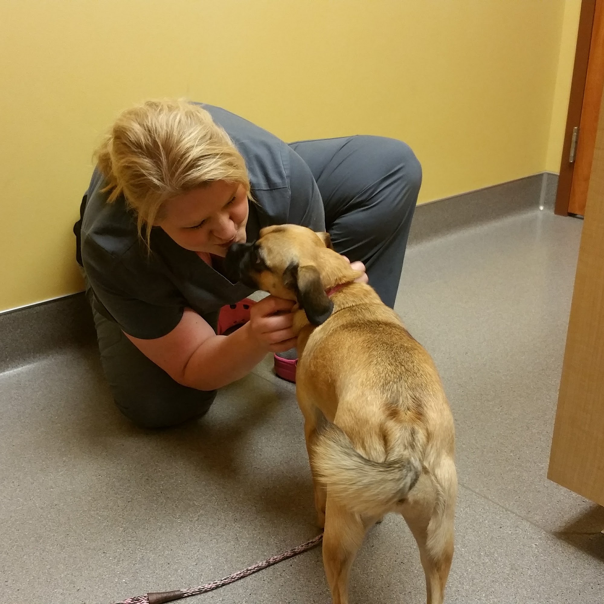 Forest Lake Veterinary Hospital: Rapp Sarah DVM Forest Lake