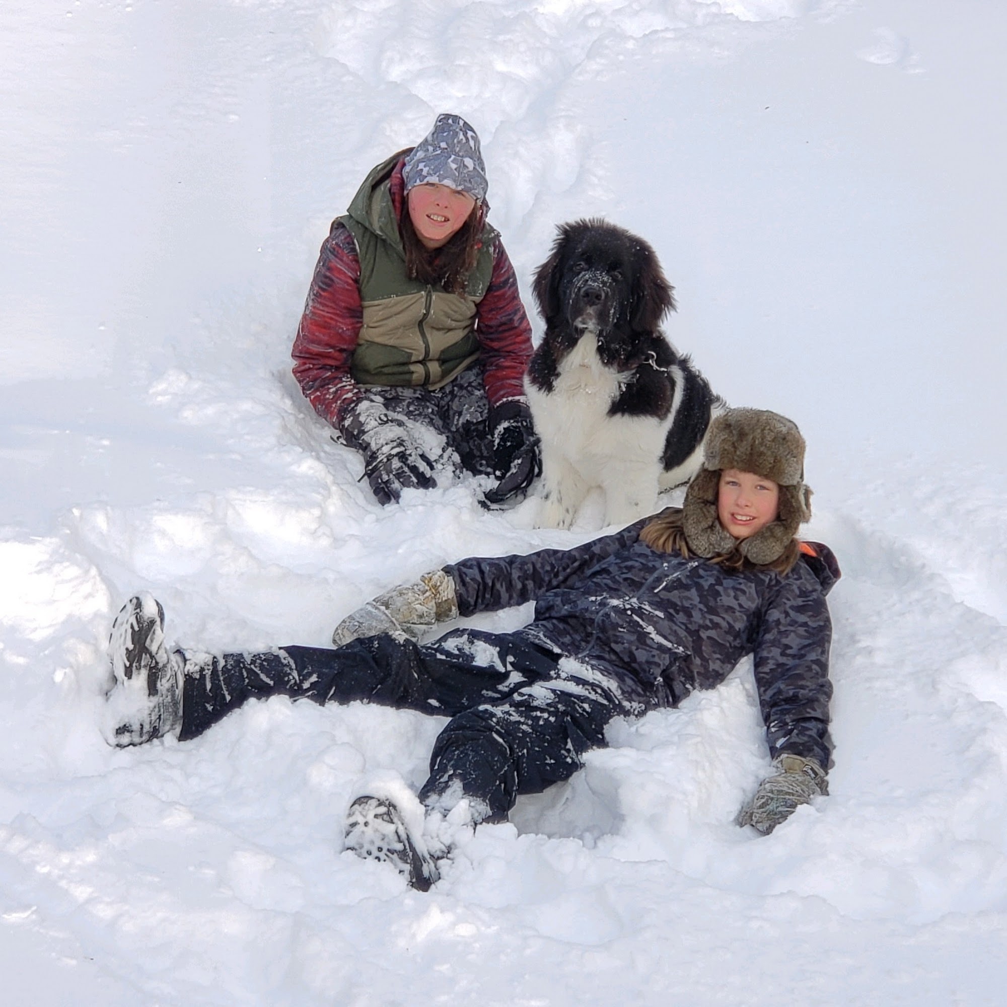 Grand Rapids Veterinary Clinic PA Grand Rapids