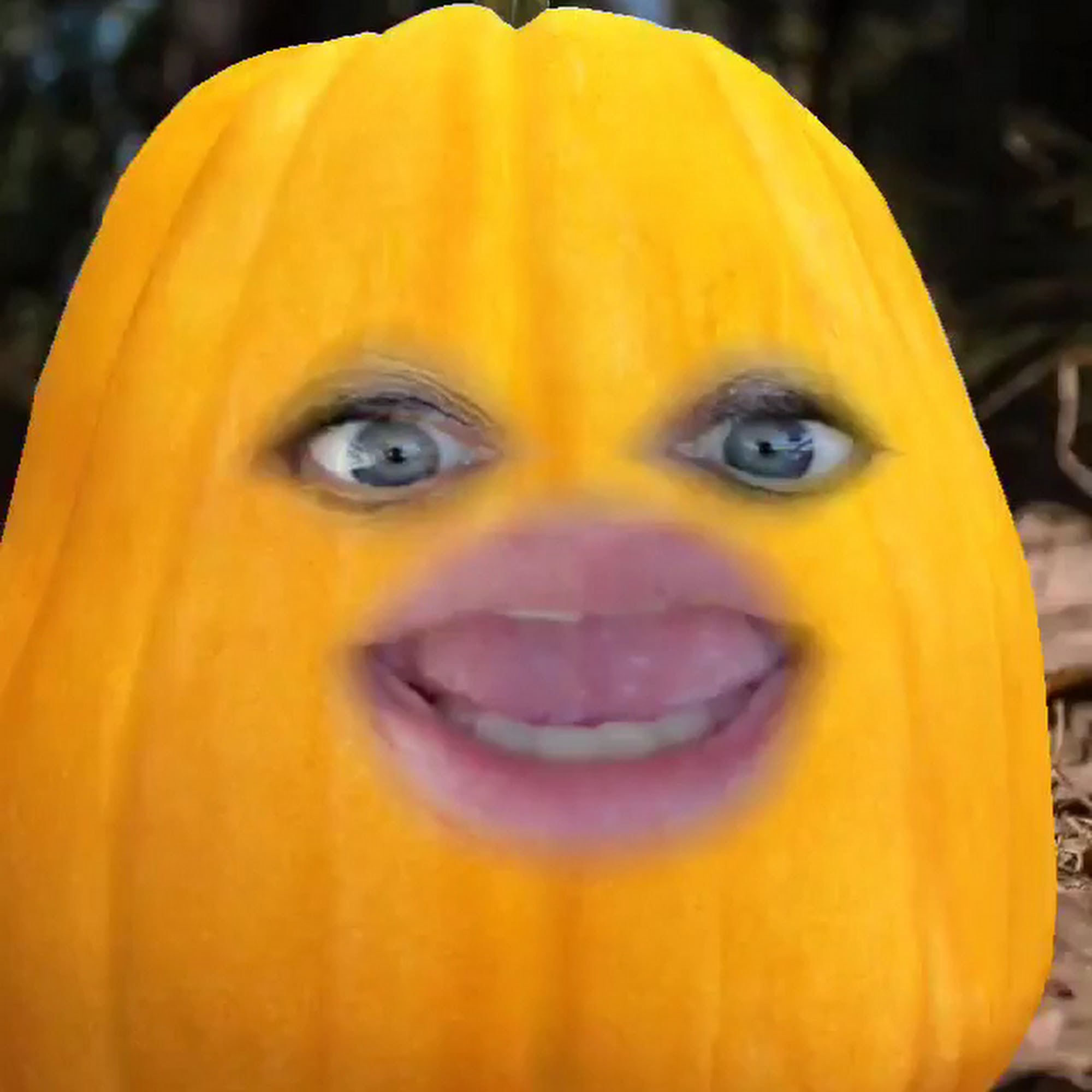 Up North Treasures Greenbush