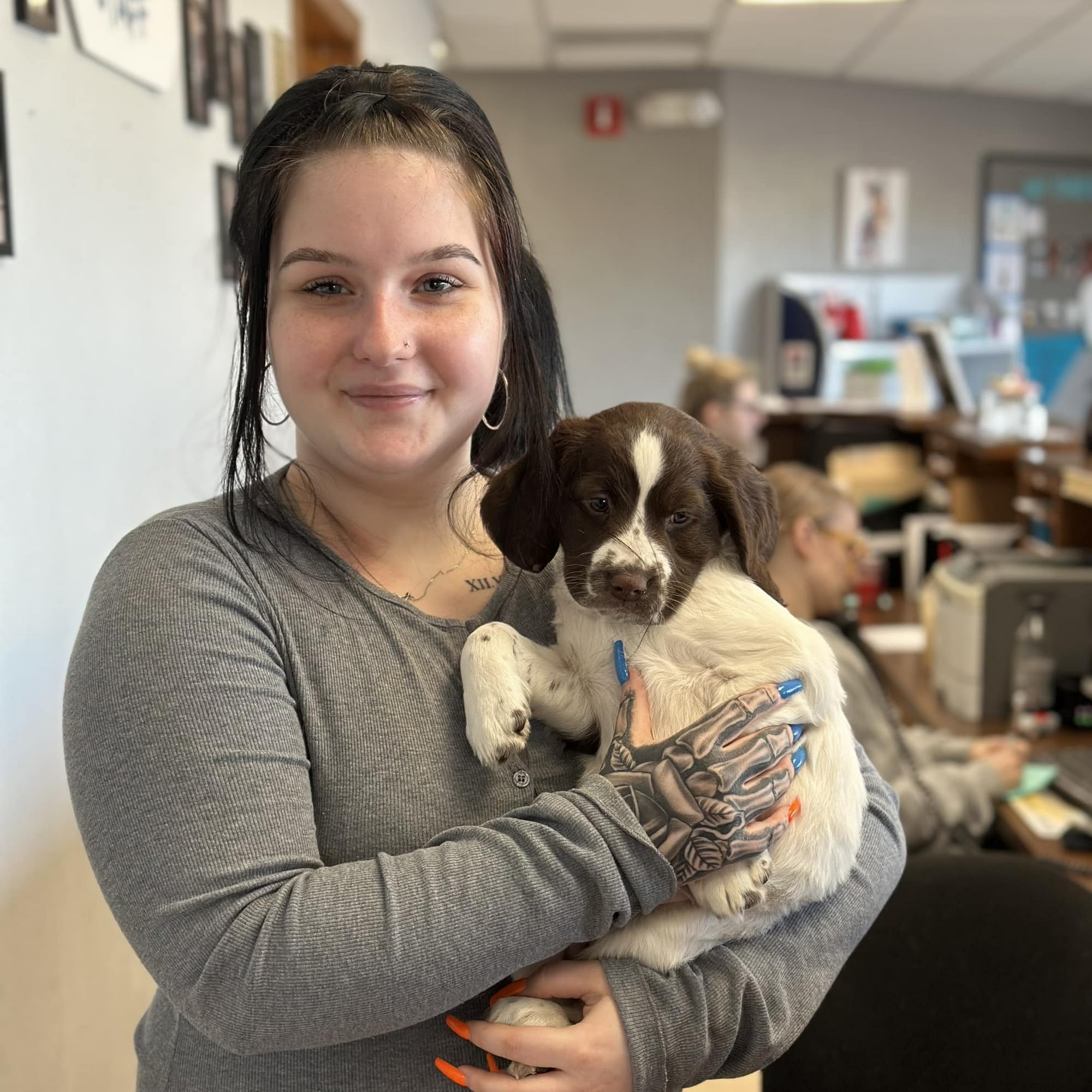 Ham Lake Vet Hospital PLLC Ham Lake