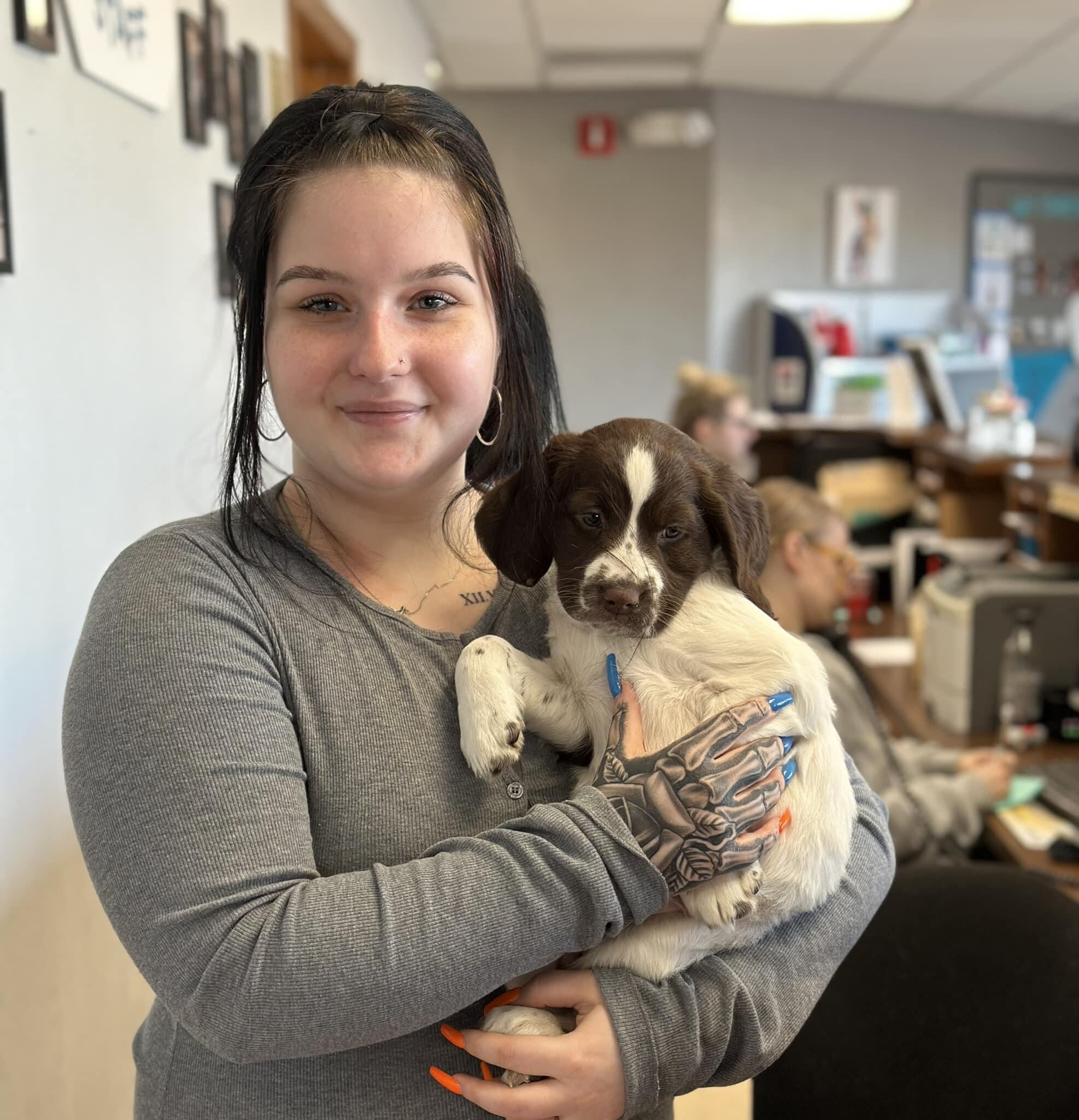 Ham Lake Vet Hospital PLLC Ham Lake