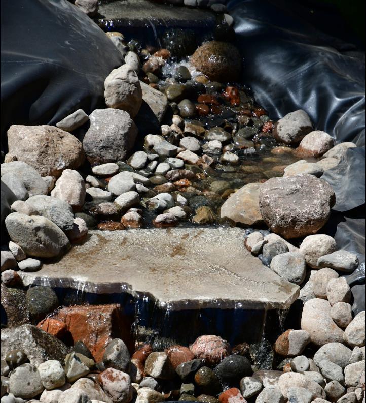 All Season Outdoor Maintenance