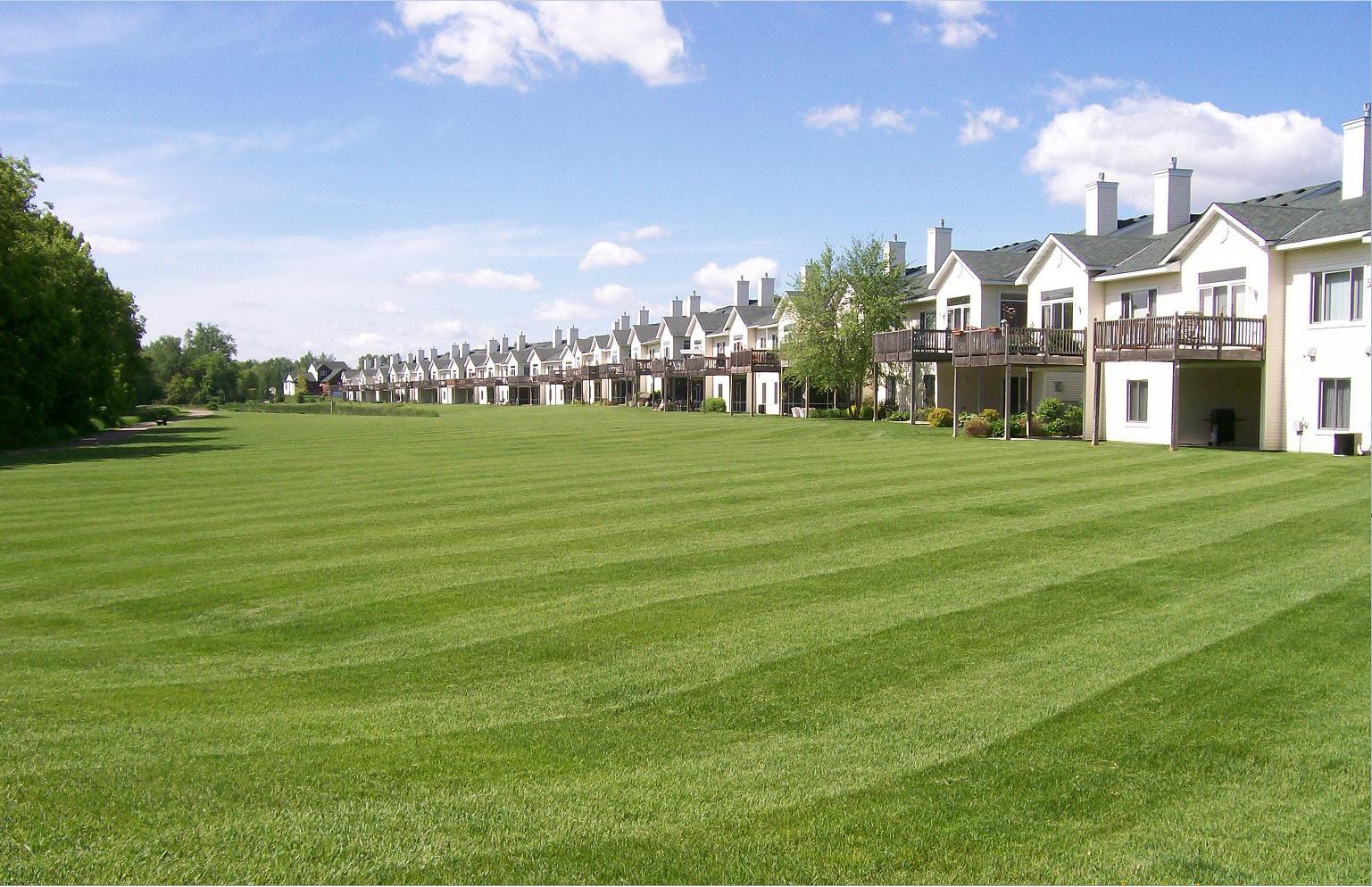 All Season Outdoor Maintenance