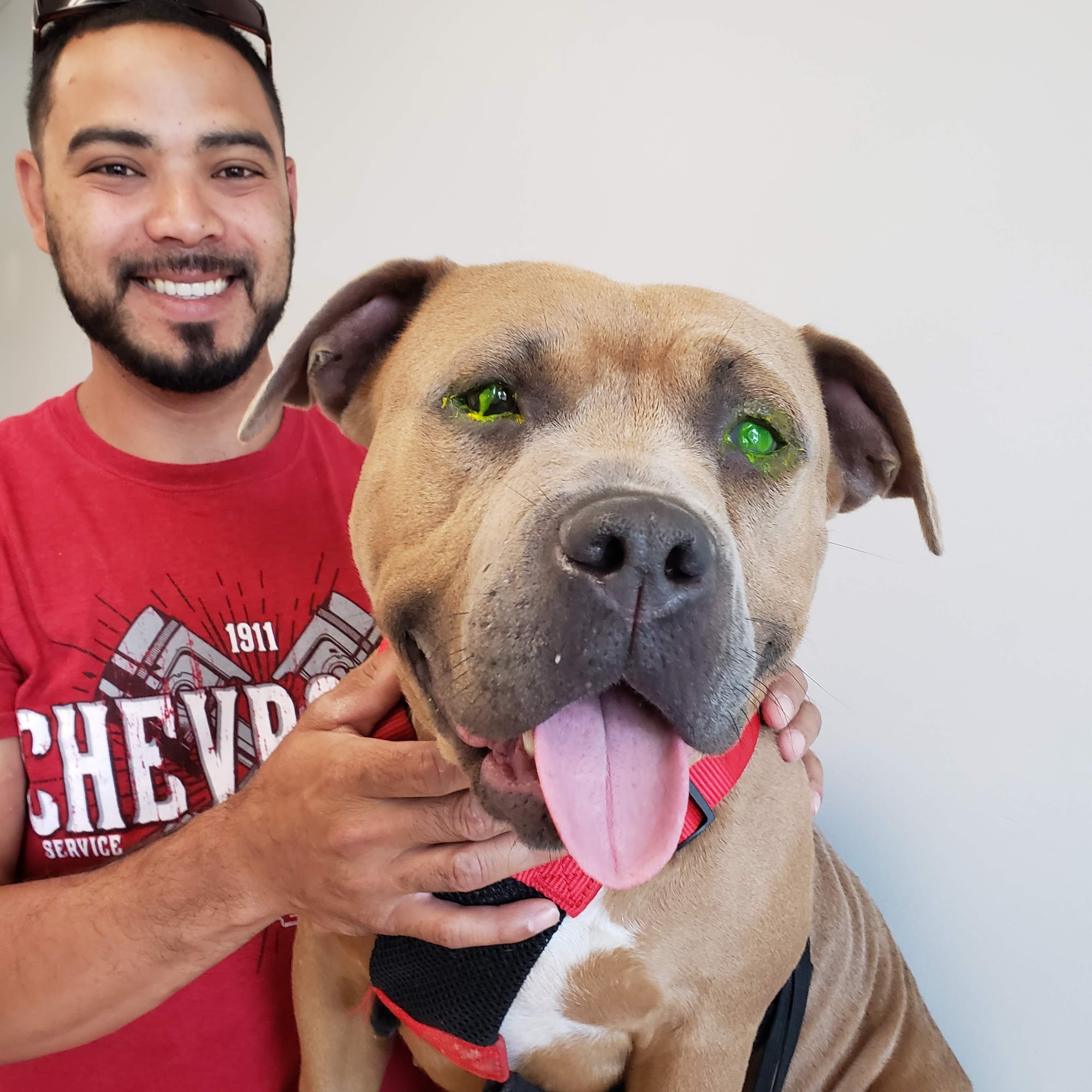 Hastings Veterinary Clinic Ltd Hastings