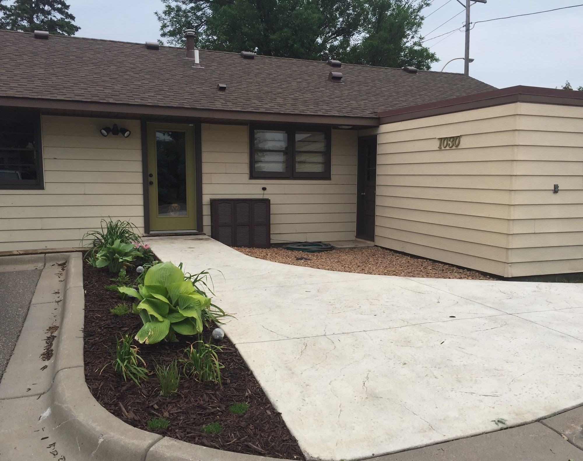 Olive Dogs Grooming Salon Hastings