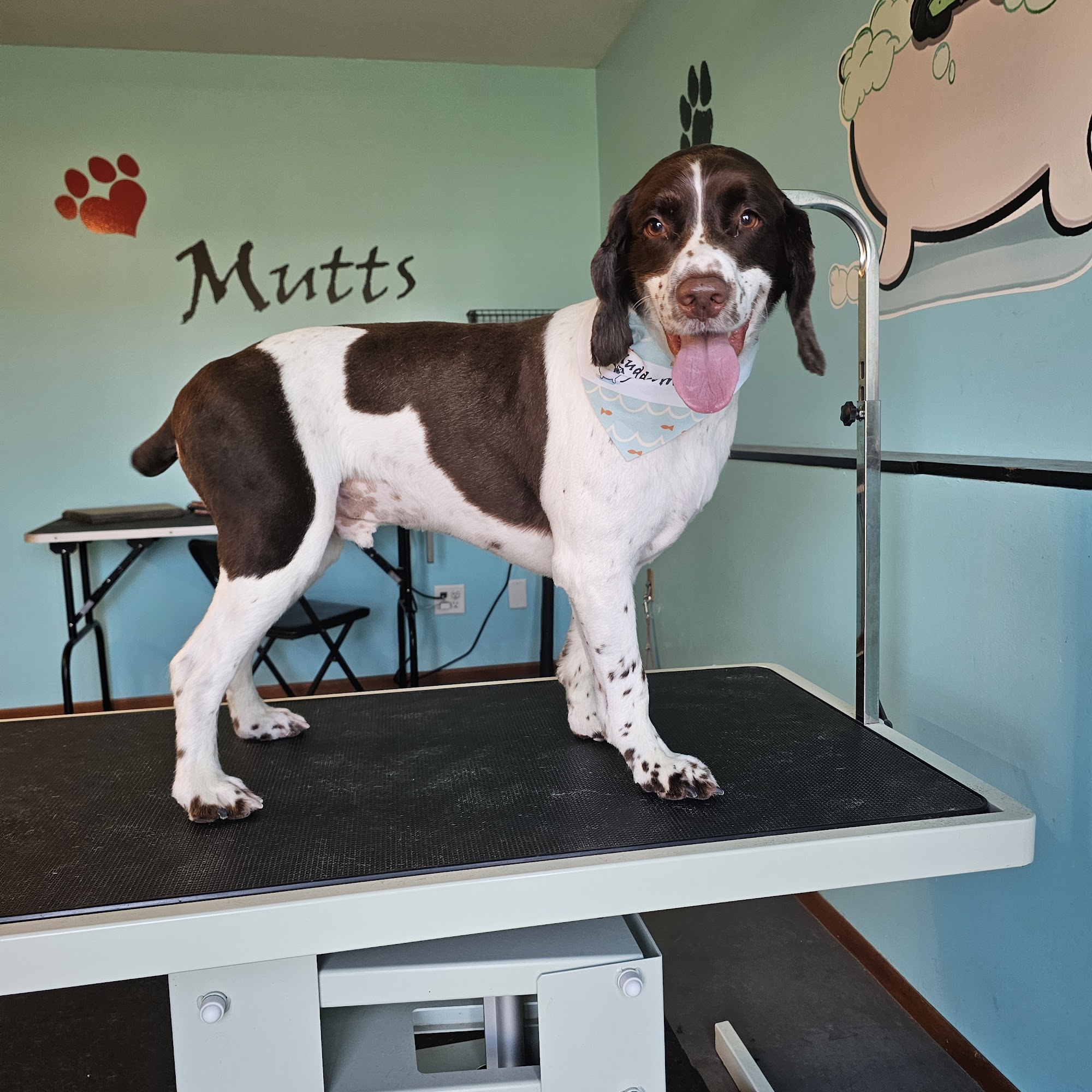 Muddy-Mutts Grooming, LLC Hastings