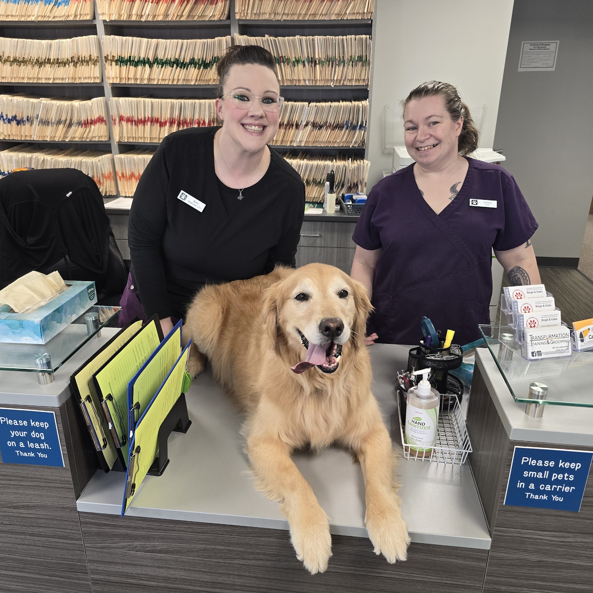 Airport Animal Hospital Hermantown