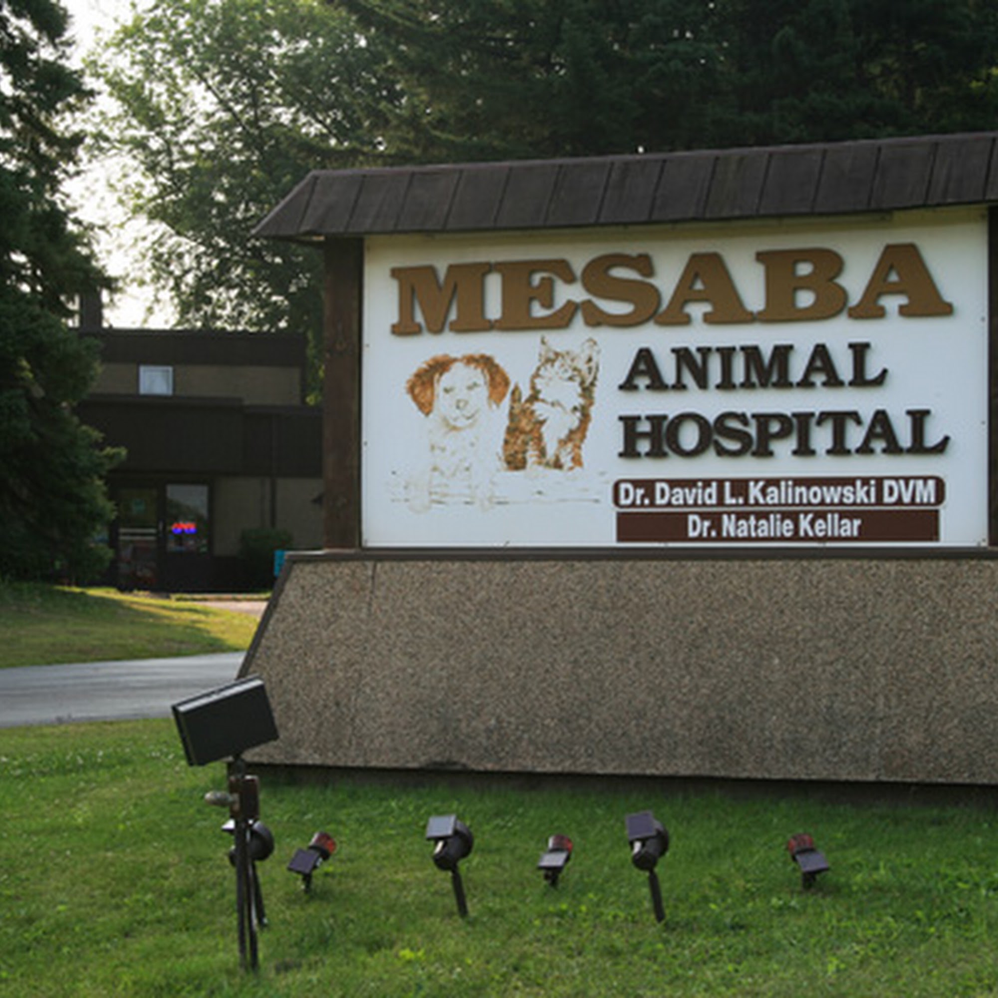 Mesaba Animal Hospital Hibbing