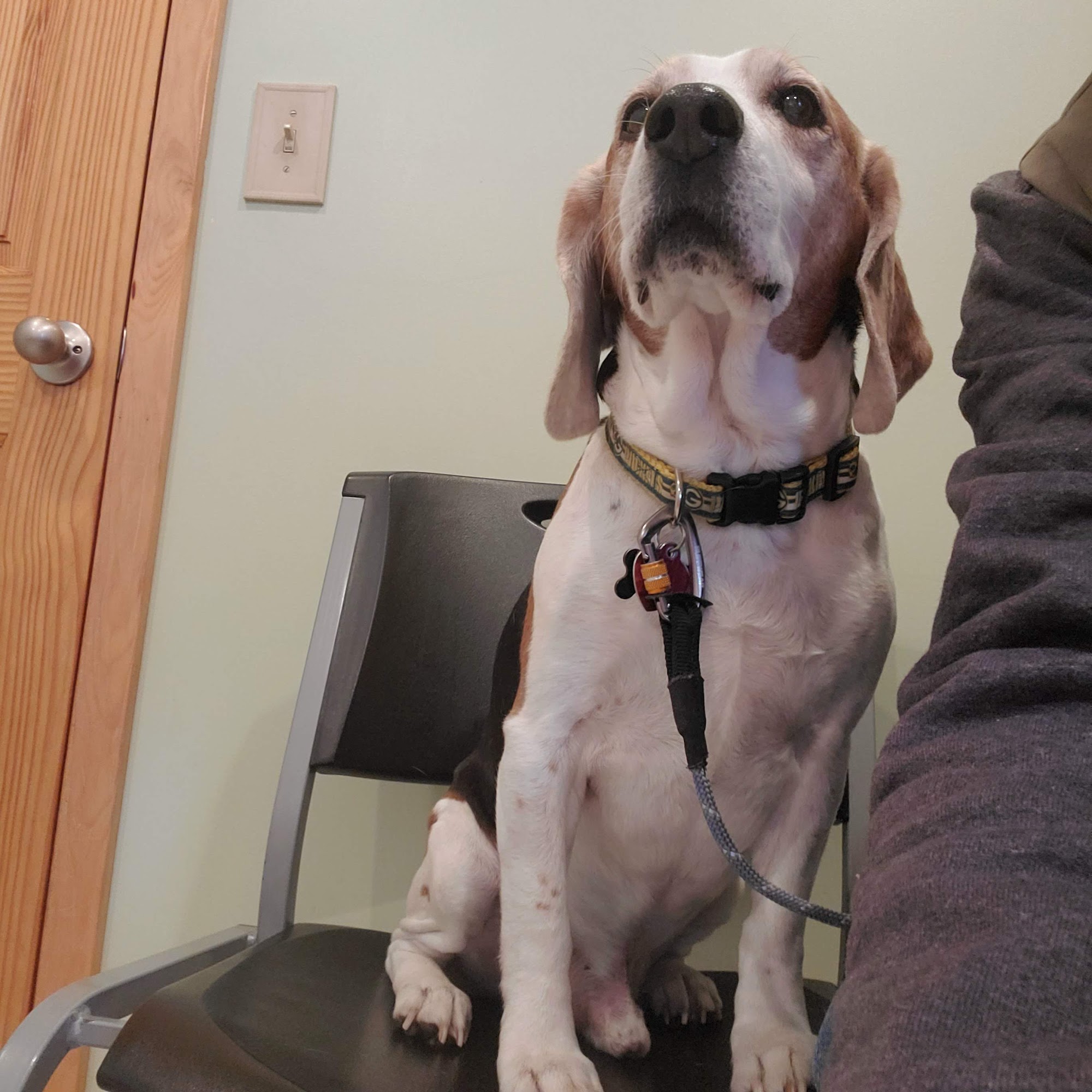 Animal Care Clinic of Hibbing: Masheimer Paul DVM Hibbing