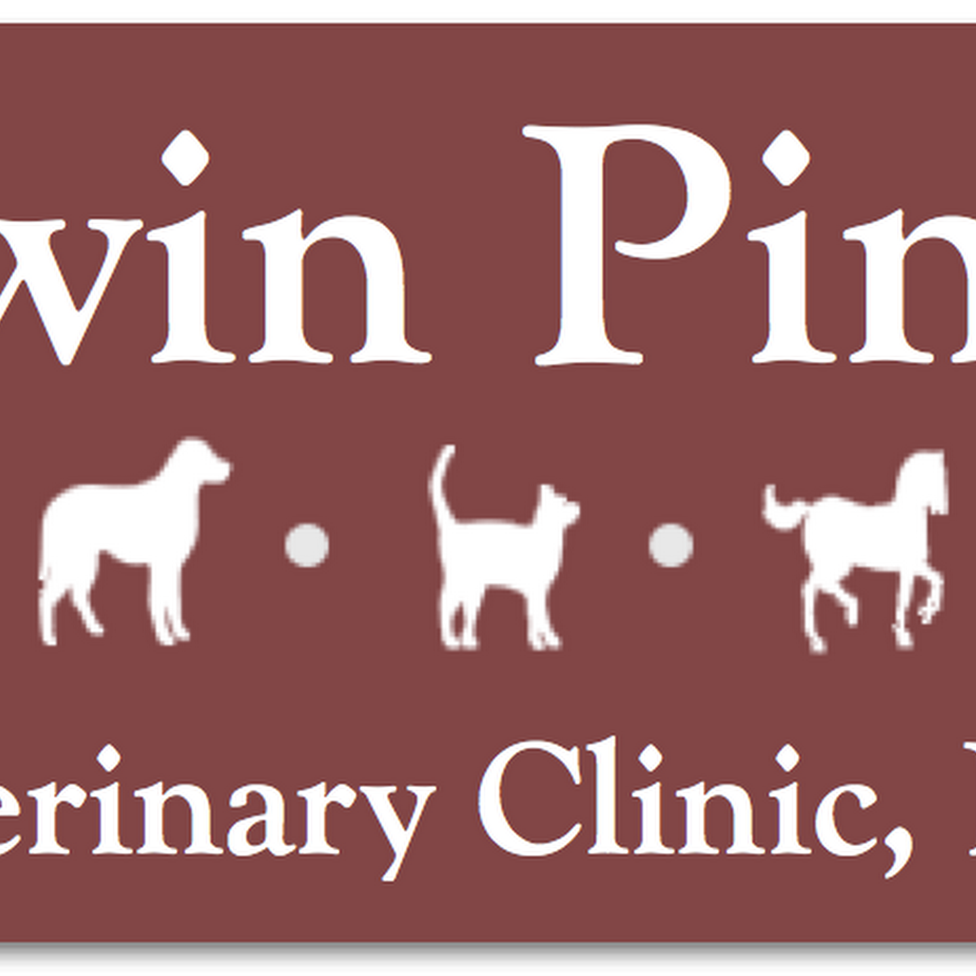 Twin Pines Veterinary Clinic and Boarding Hinckley