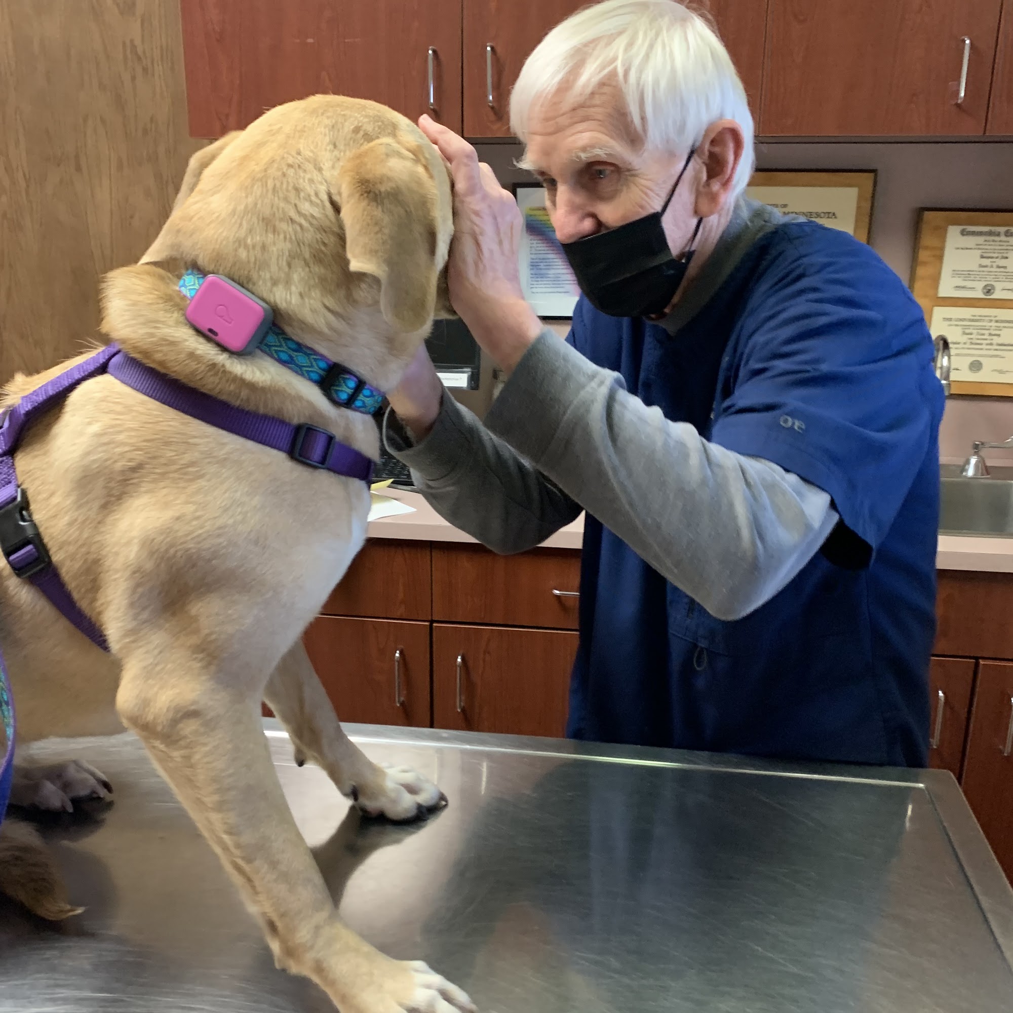 Hopkins Pet Hospital Hopkins