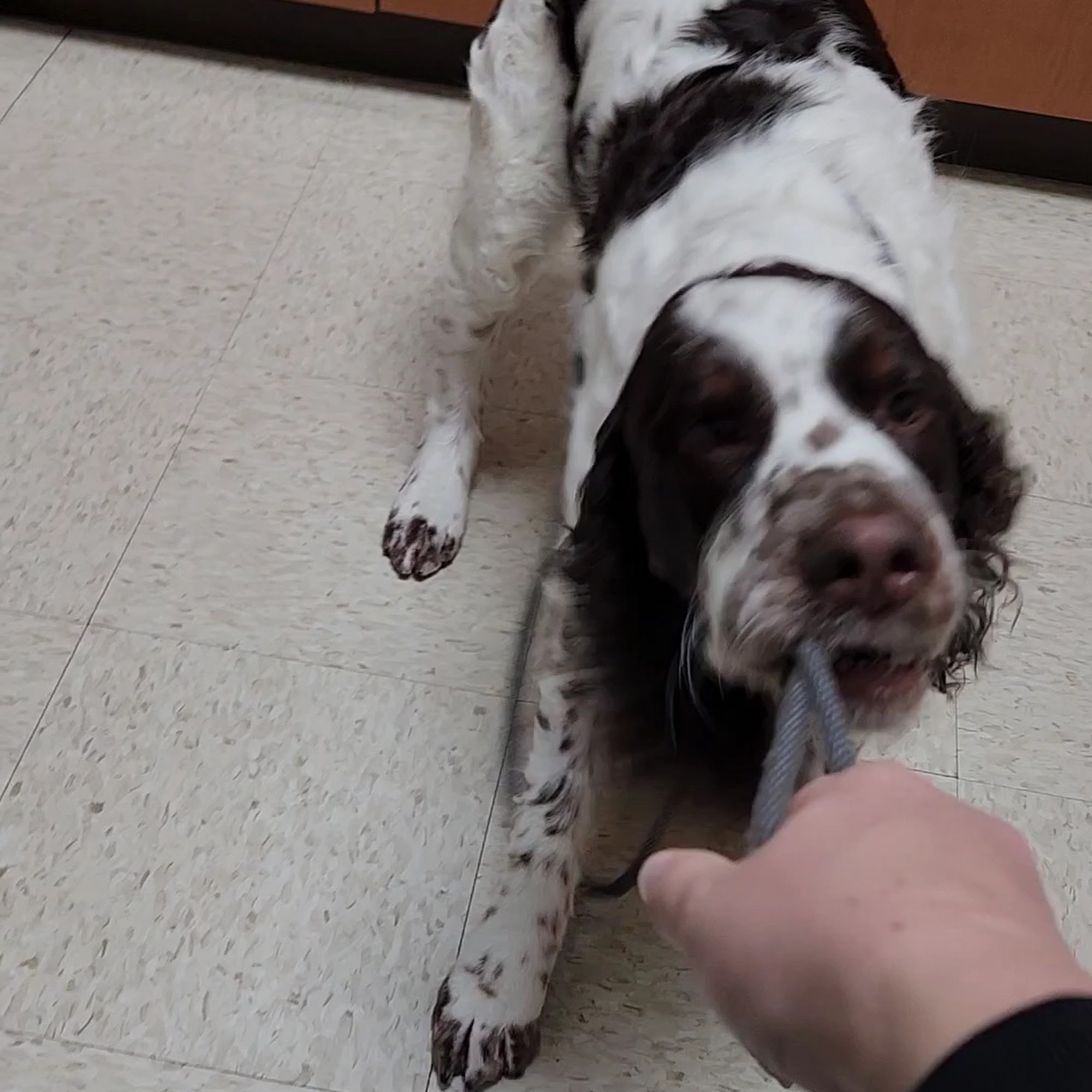 McKeever Dermatology Clinics Inver Grove Heights