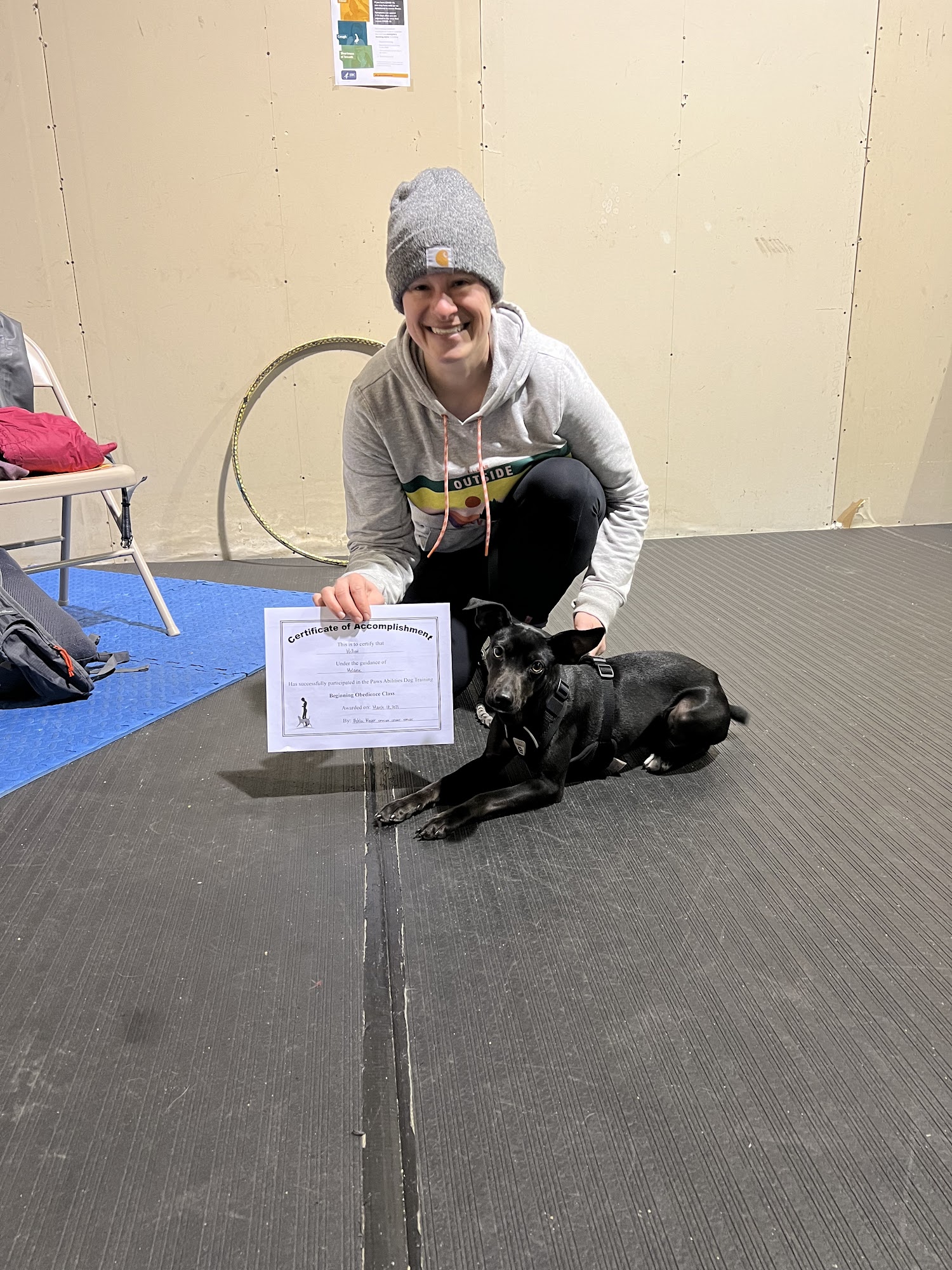 Paws Abilities Dog Training