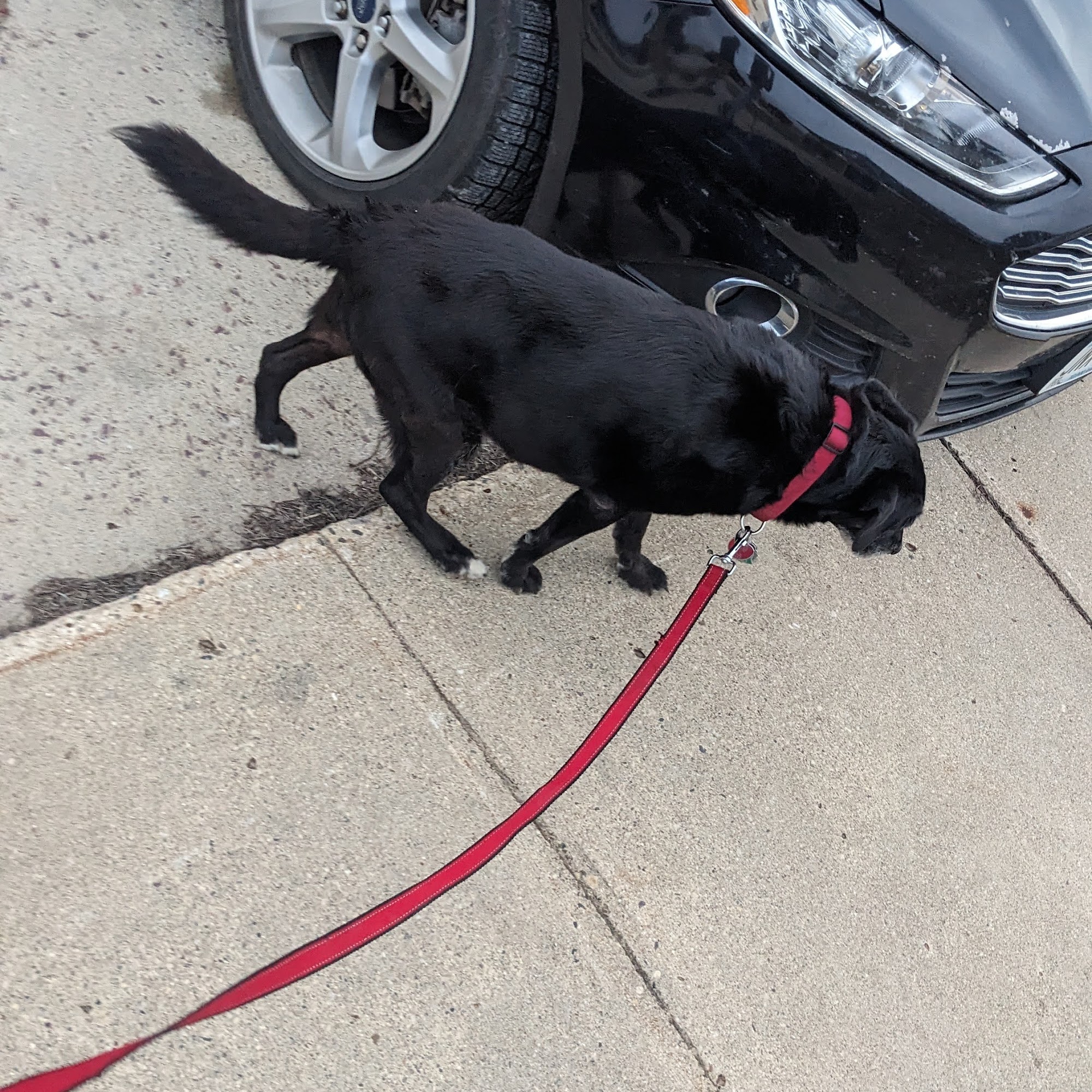 River Valley Veterinary Clinic Jackson