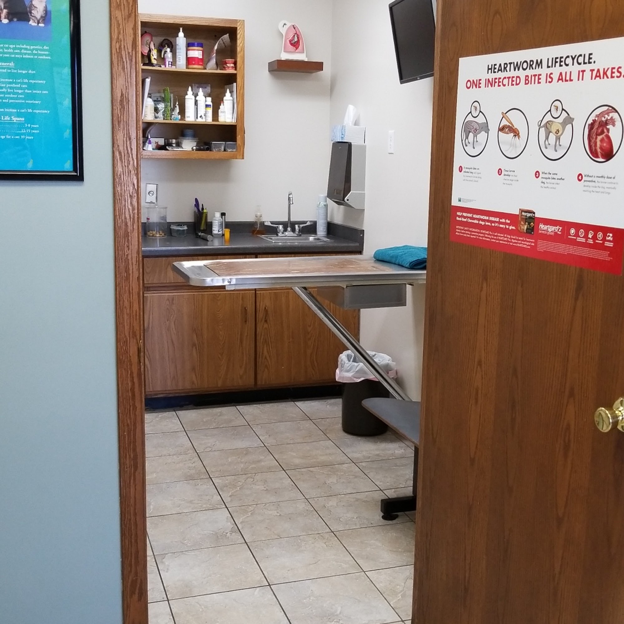 Carriage House Animal Hospital Kasson