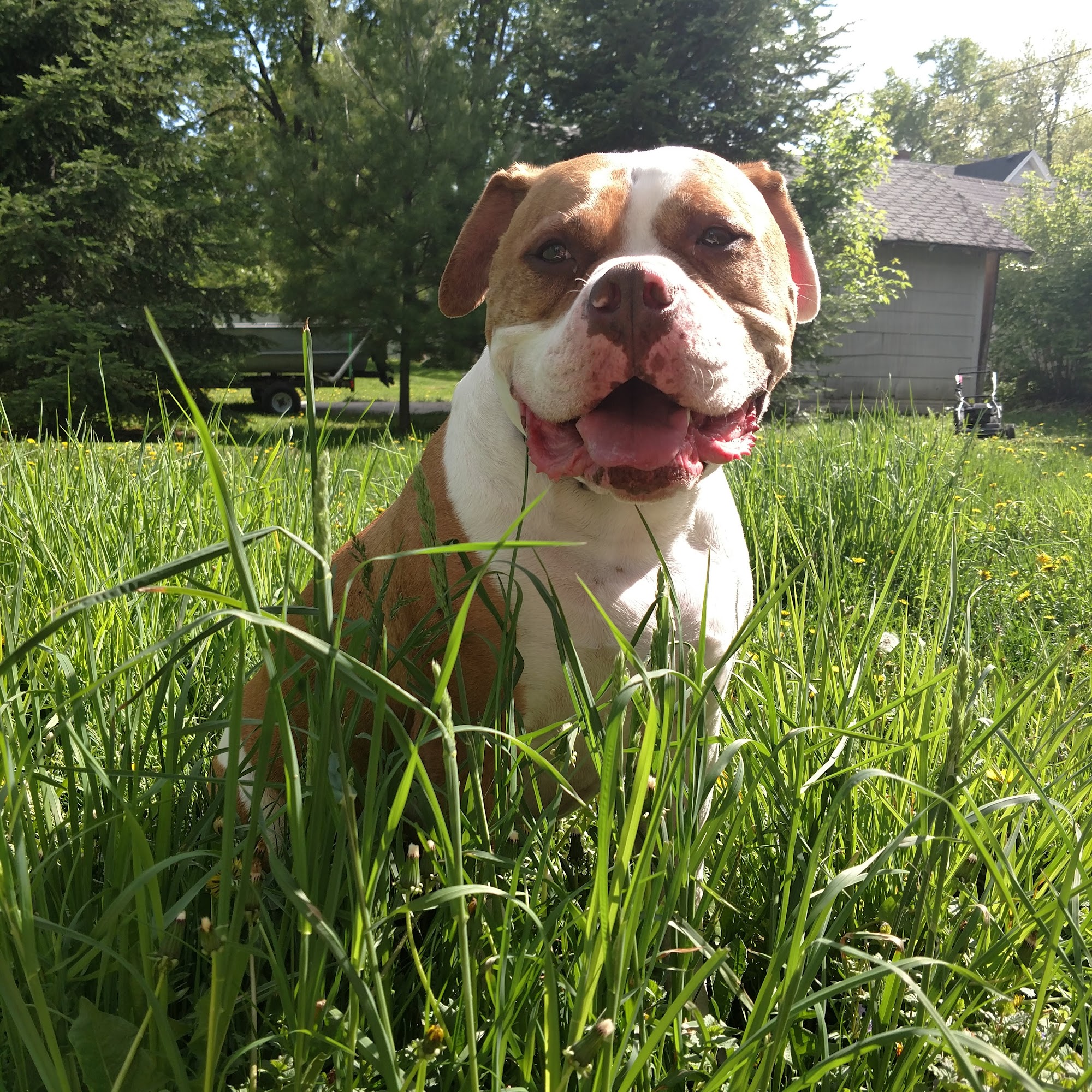 All Creatures Vet Clinic Lake City