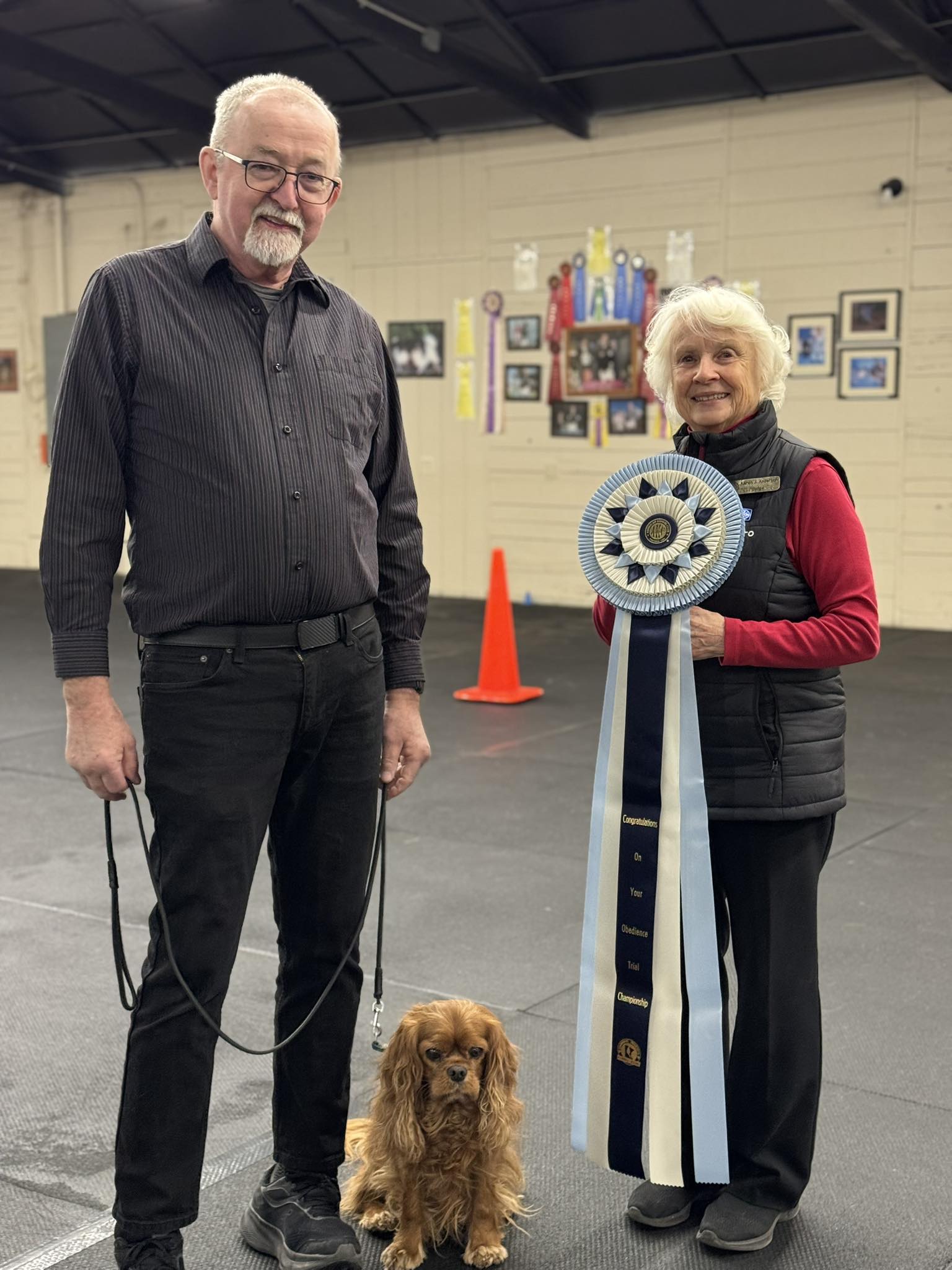 Animal Inn Training School Lake Elmo