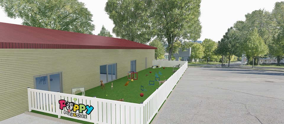 Puppy Play and Stay Lakeville