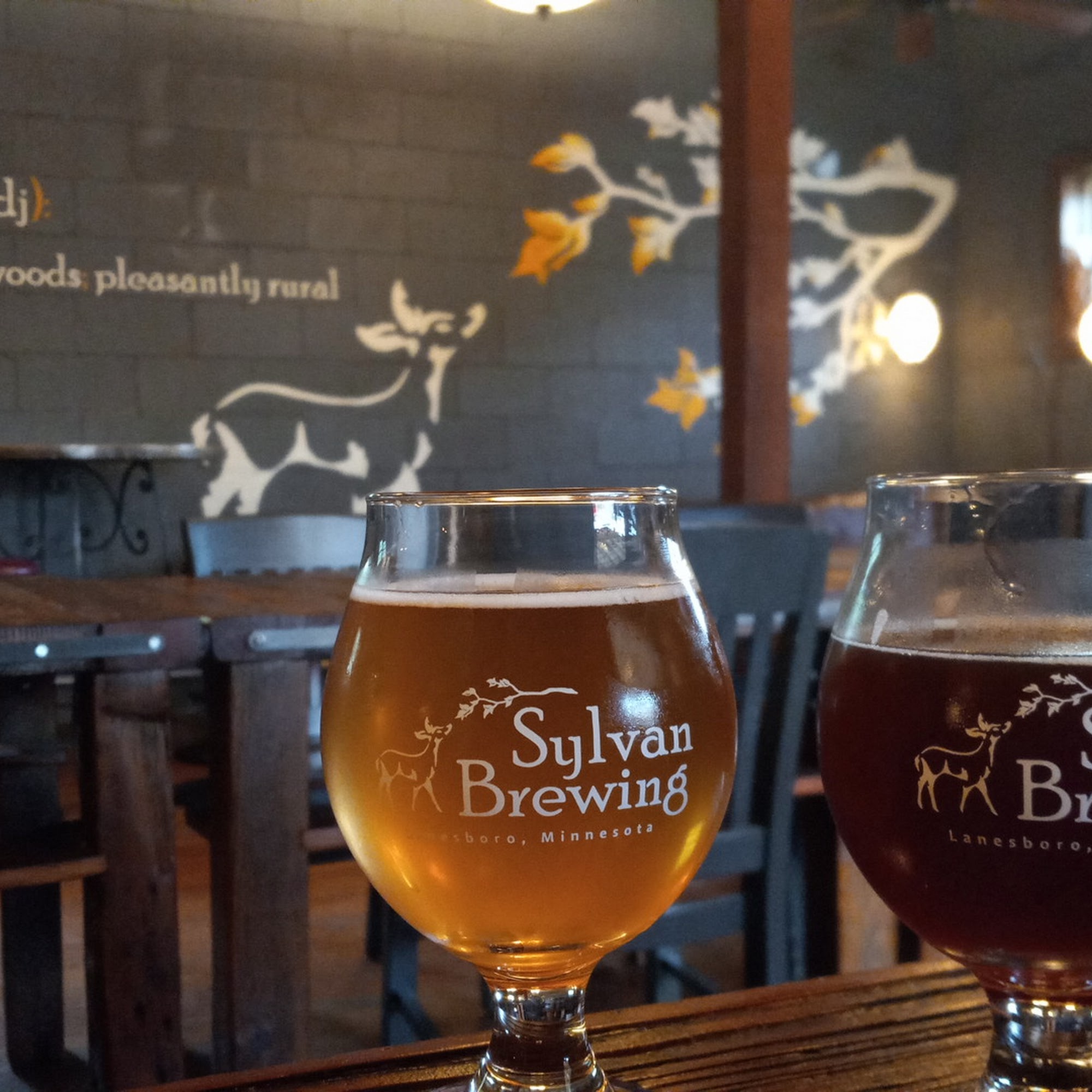 Sylvan Brewing Lanesboro