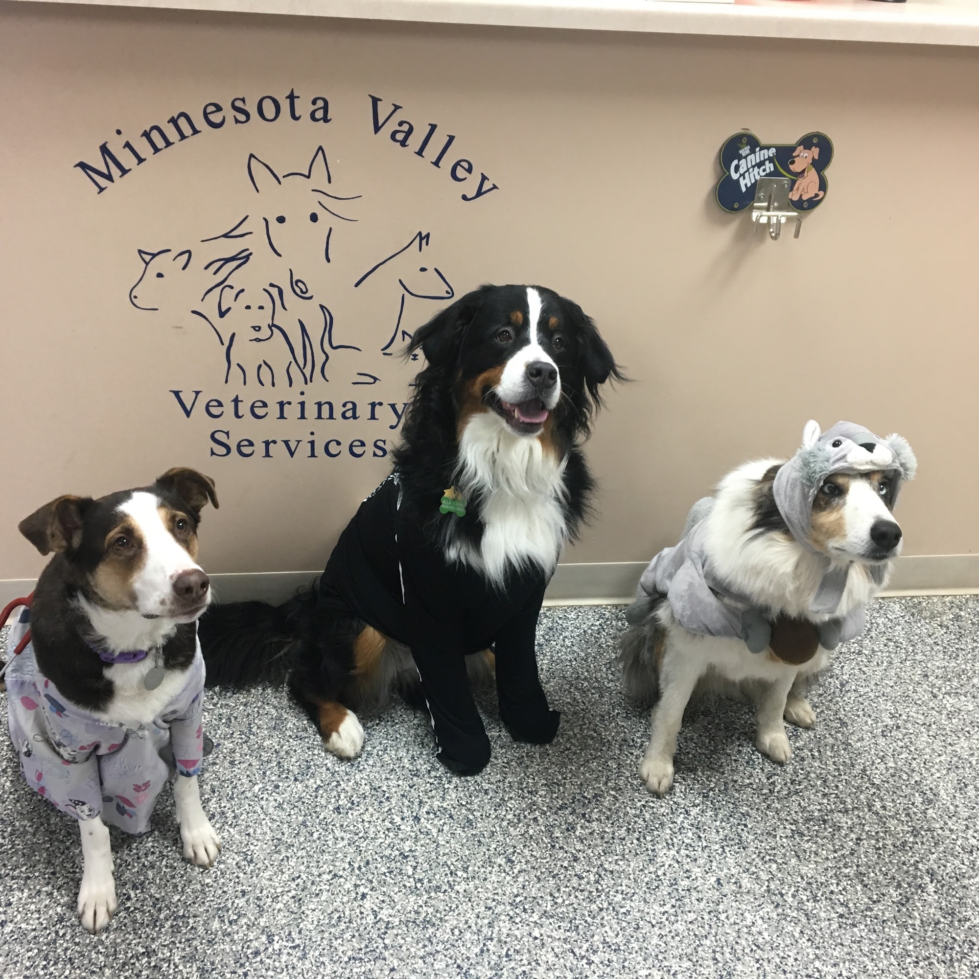 Minnesota Valley Vet Services Le Sueur