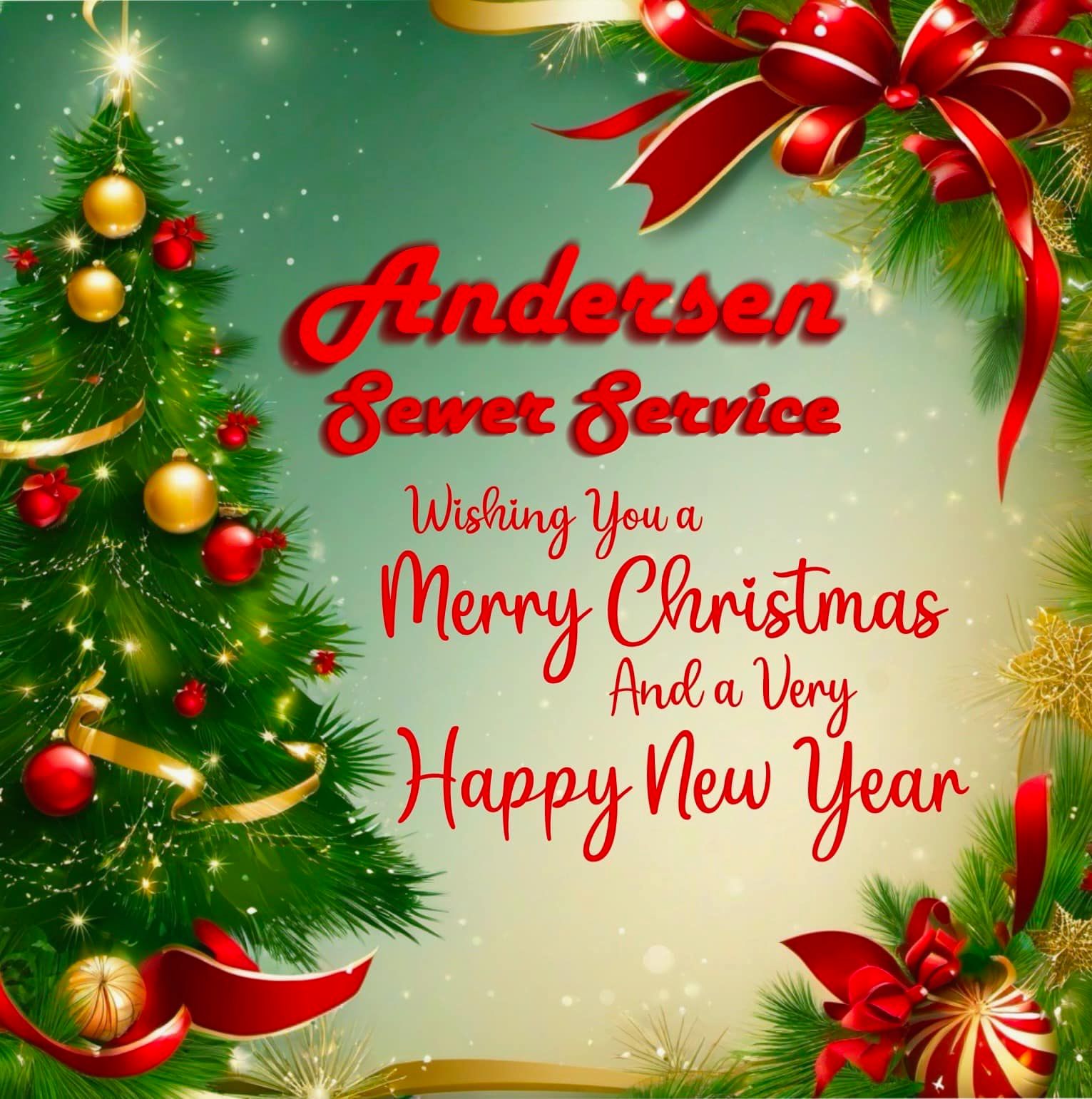 Anderson Sewer Services