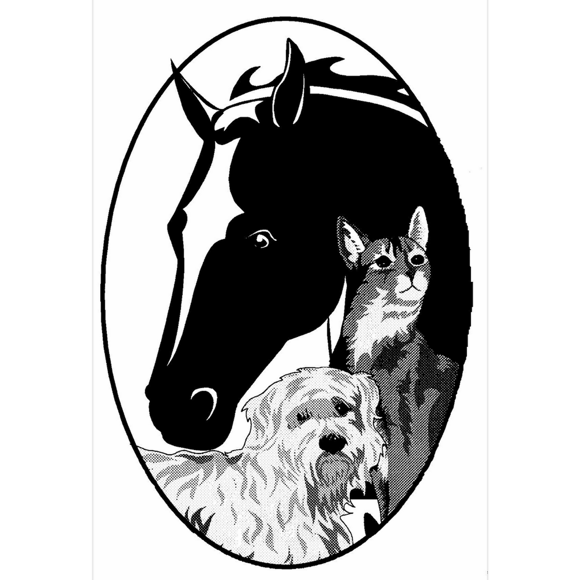 Community Animal Hospital Little Falls