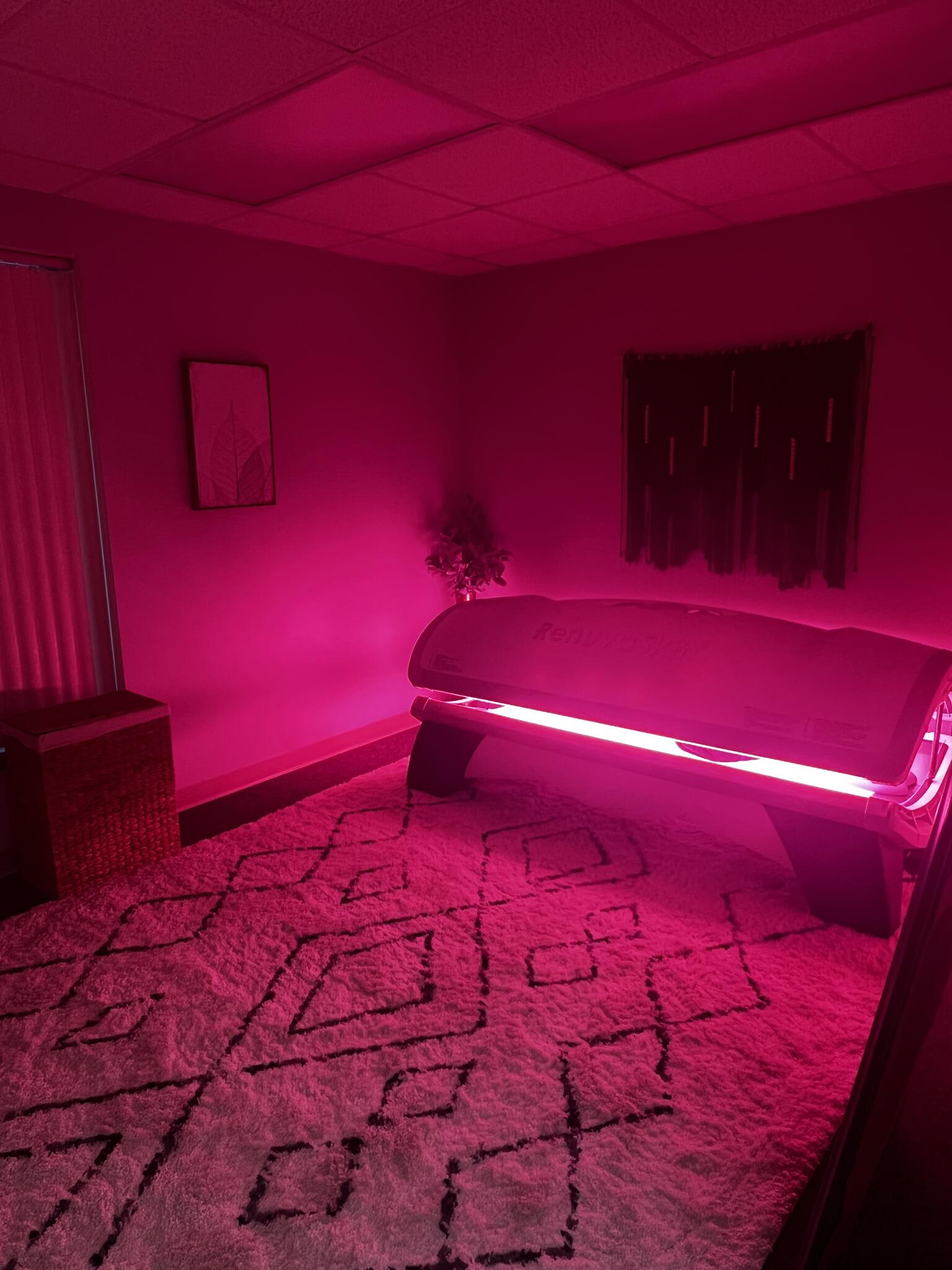 The Wellness Nest