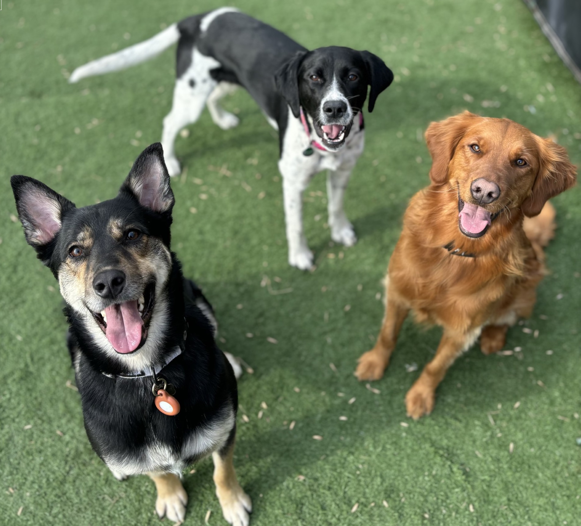 VCA Animal Wellness Center of Maple Grove Maple Grove