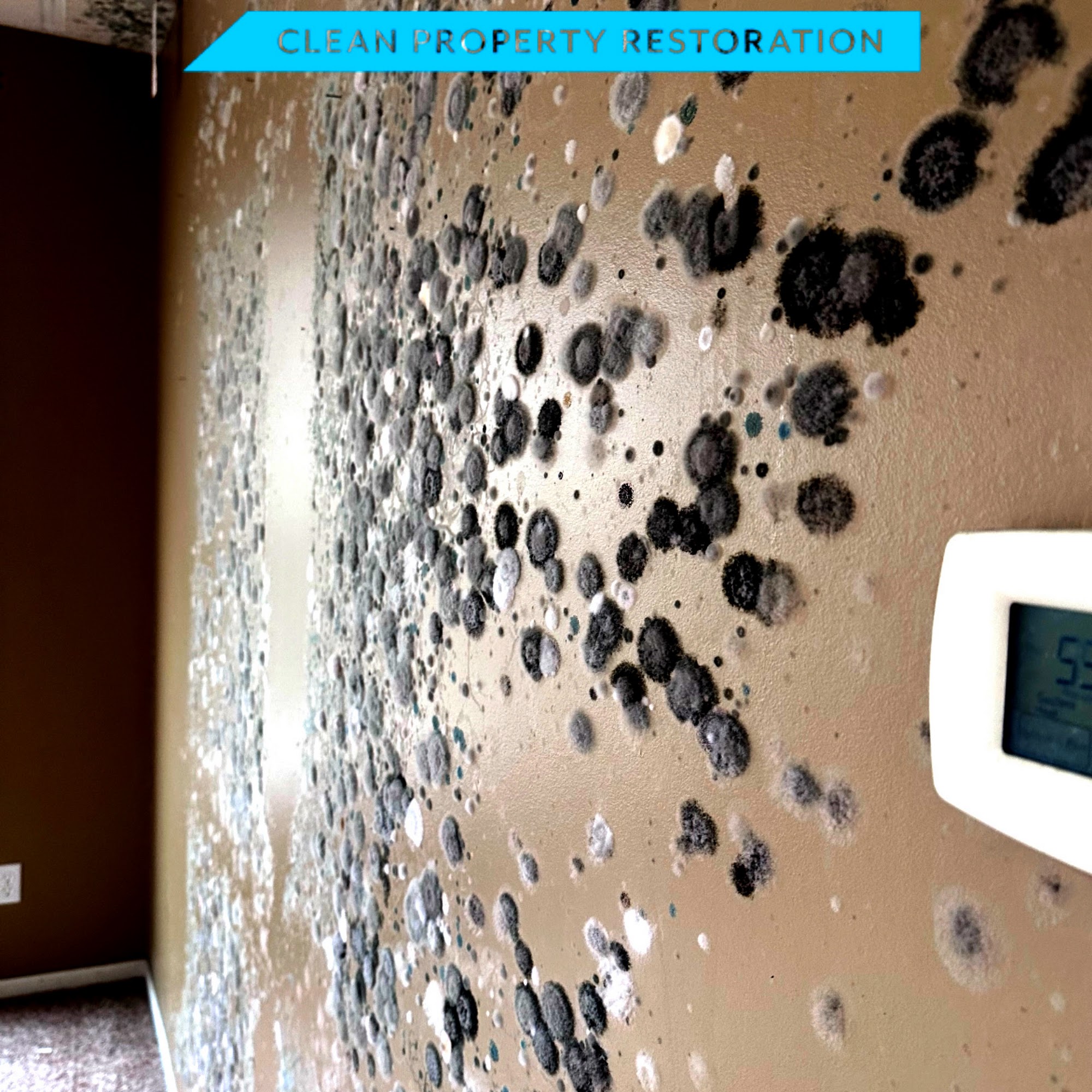 Clean Property Restoration