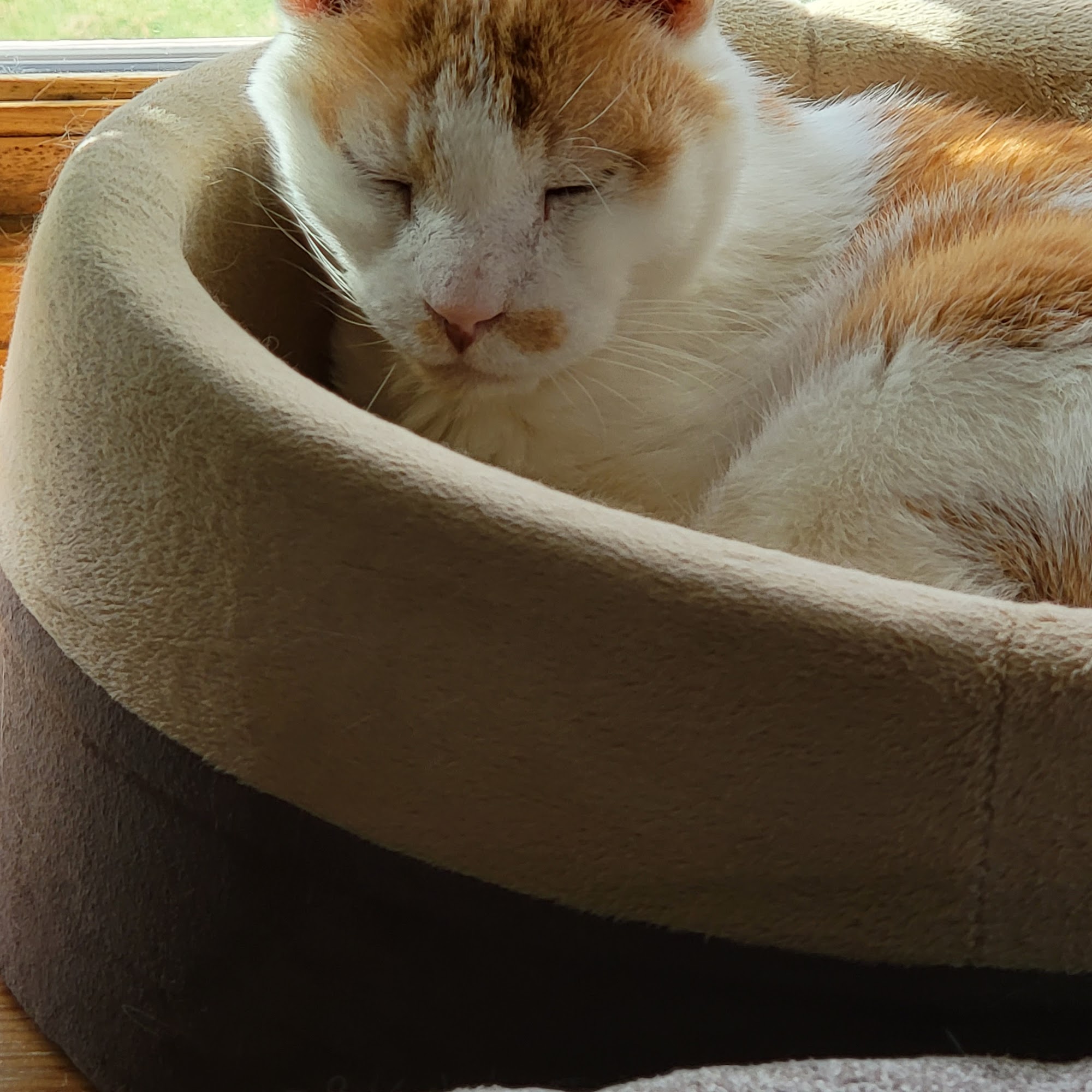 Keller Lake Animal Hospital Maplewood