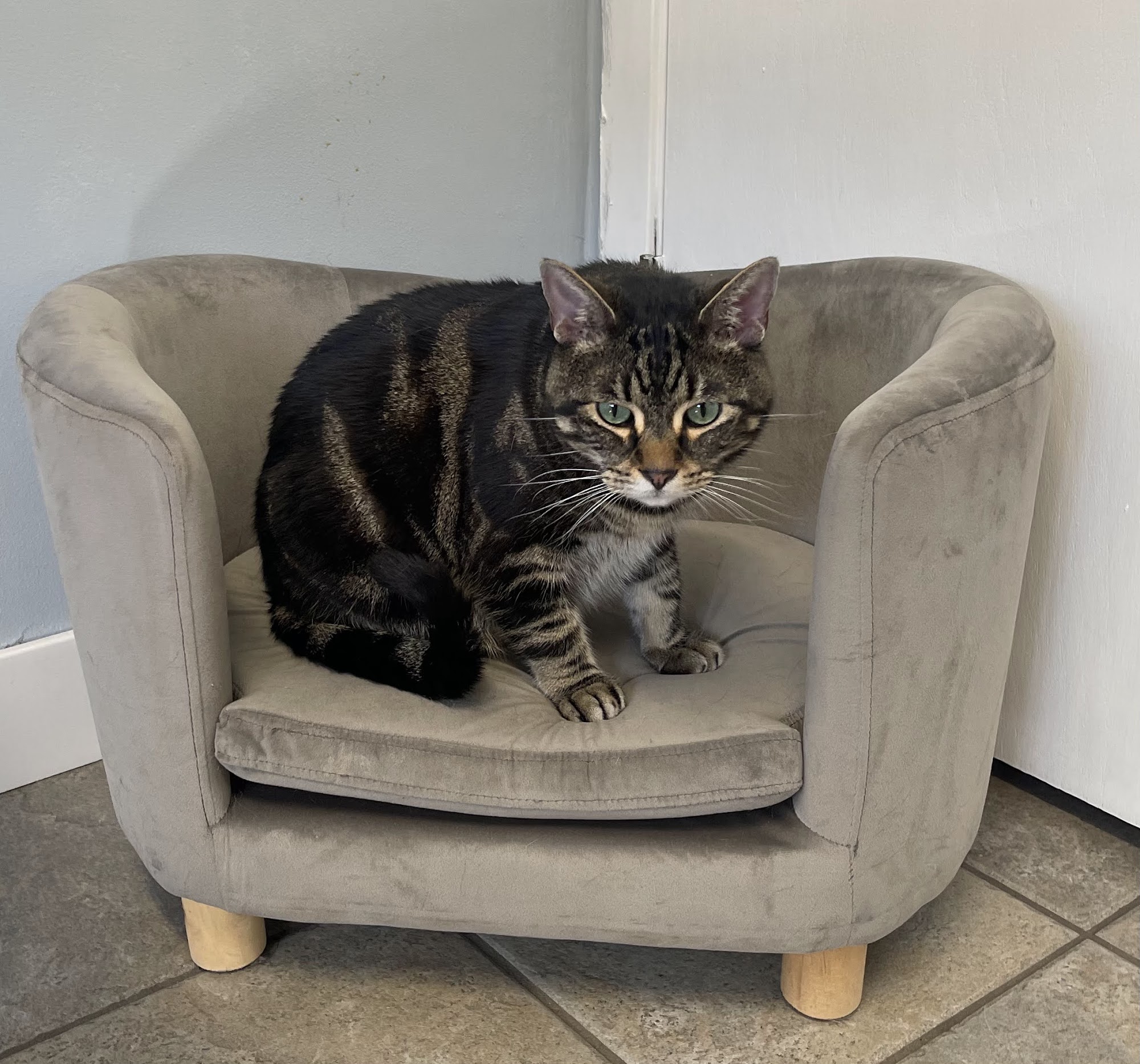 Mendakota Animal Hospital Mendota Heights