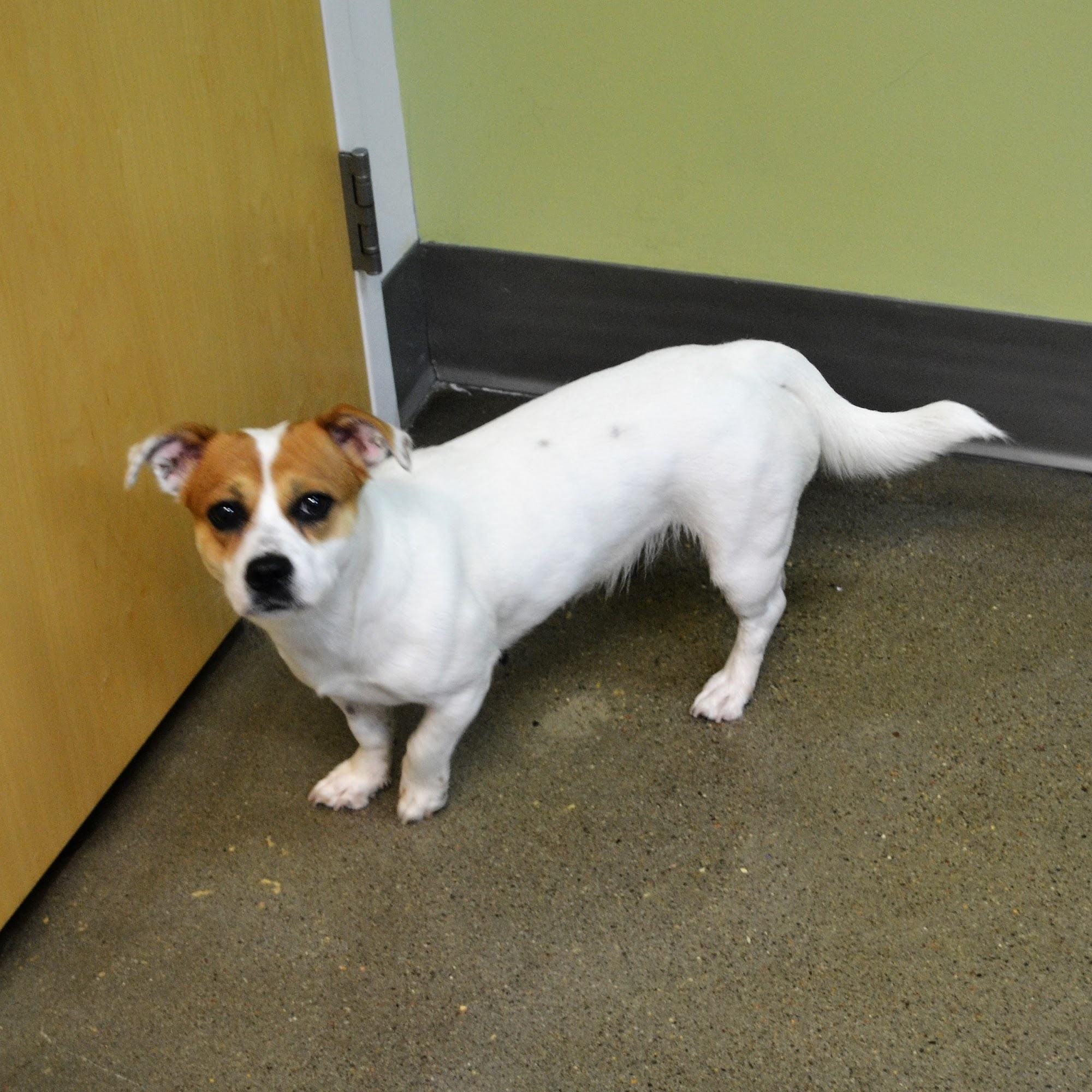 Vet Partners Minneapolis Minneapolis