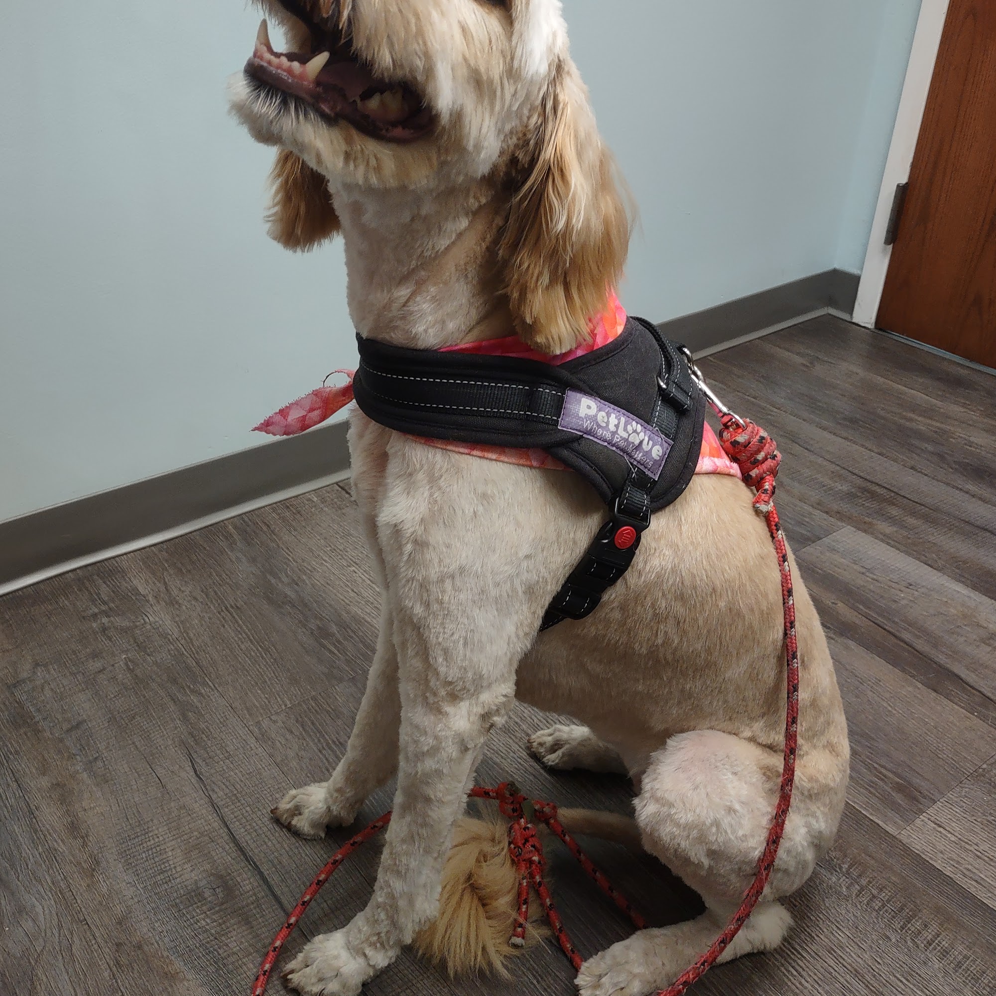 Bass Lake Pet Hospital Minneapolis