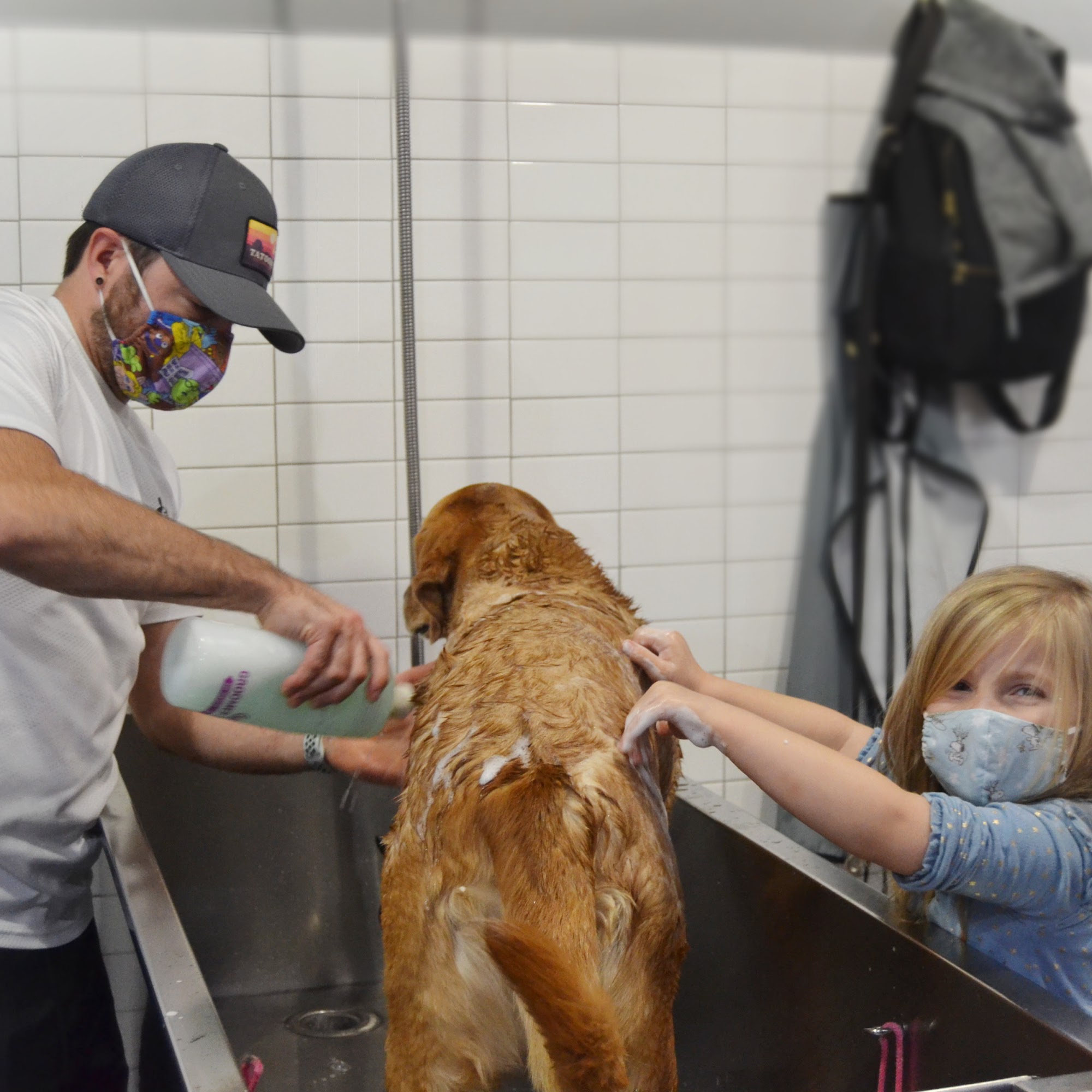 Ollu Self Serve Dogwash & Grooming Salon Minneapolis