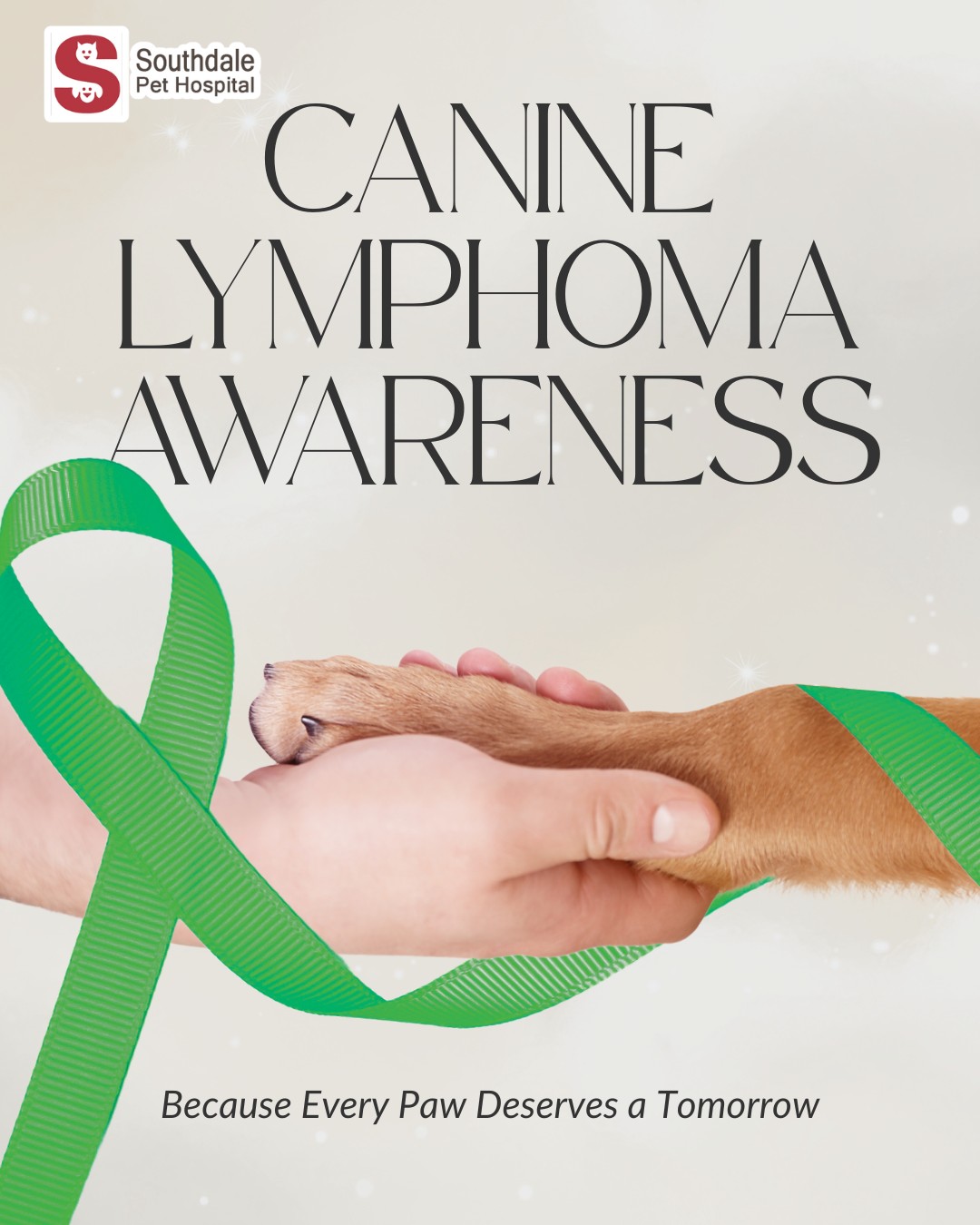 Southdale Pet Hospital Minneapolis