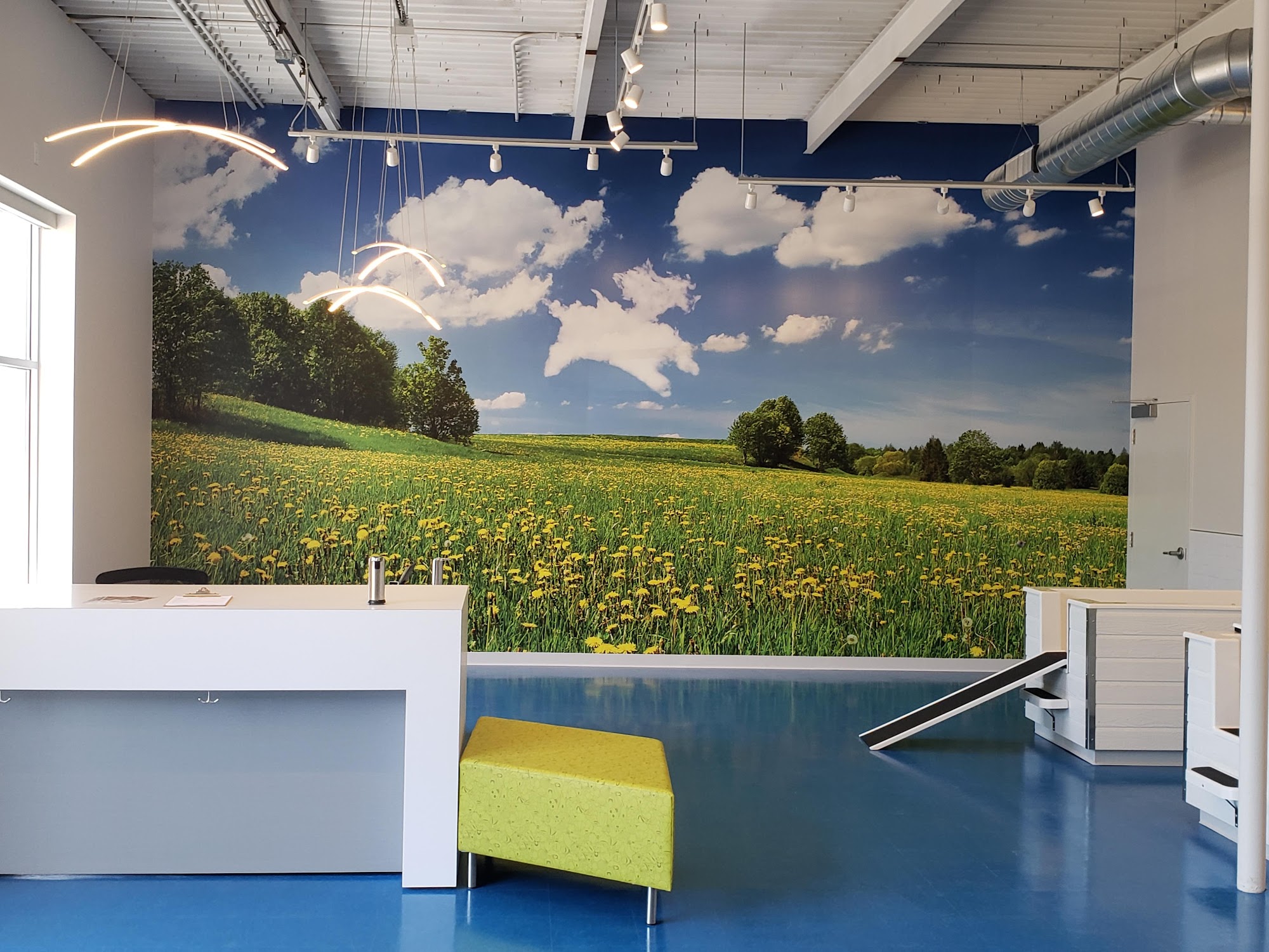 Dog's Day Out Minneapolis