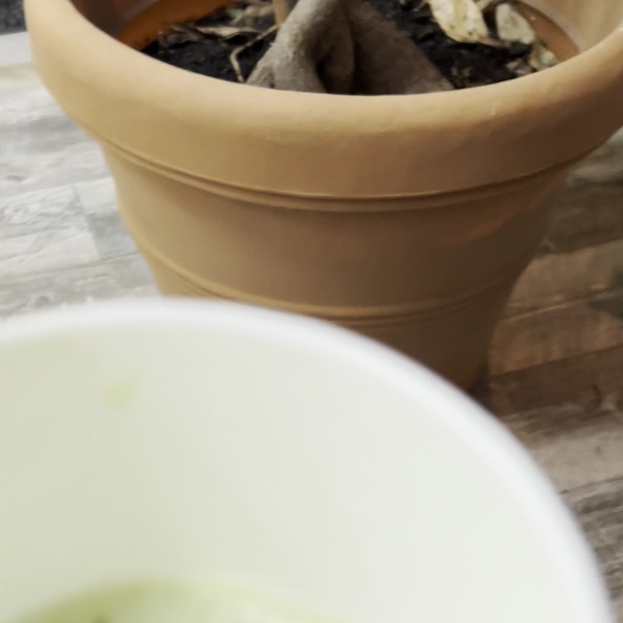 Crema Coffee + Cream Minneapolis