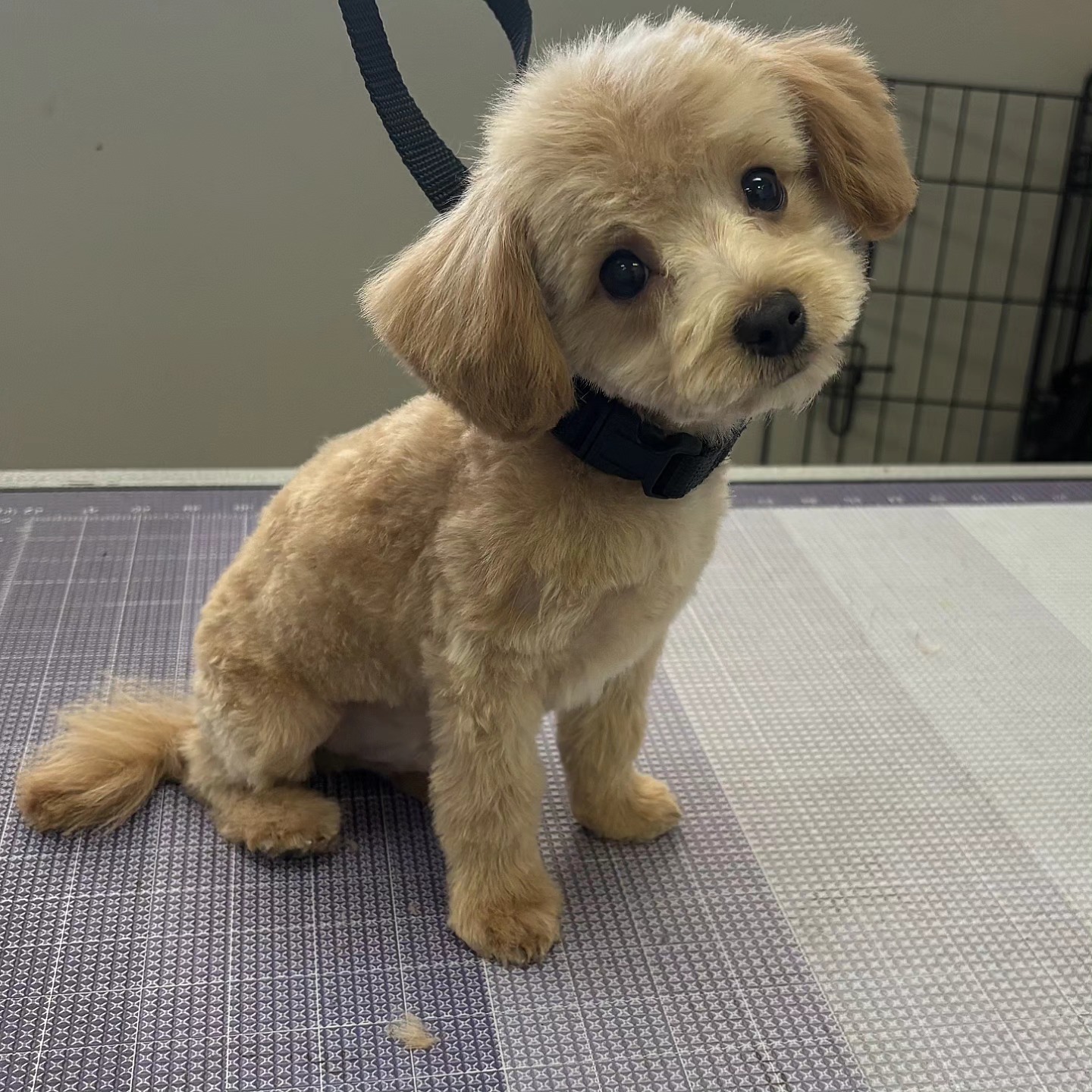 The Groom Crew Minneapolis